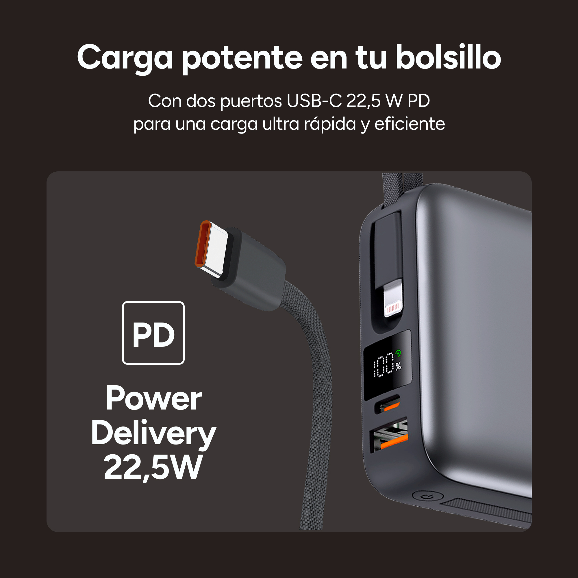 Un power bank con un cavo USB-C collegato. Il power bank mostra il 100% di carica. Testo: Power Delivery 22,5W.