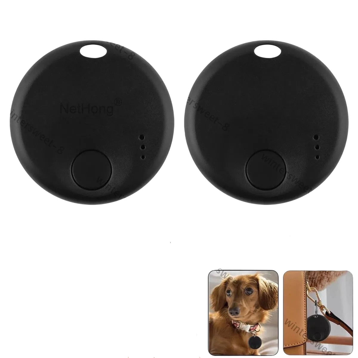 Zwei schwarze, runde Smart-Tags mit Knopf und Löchern. Ein Tag ist am Hundehalsband befestigt.