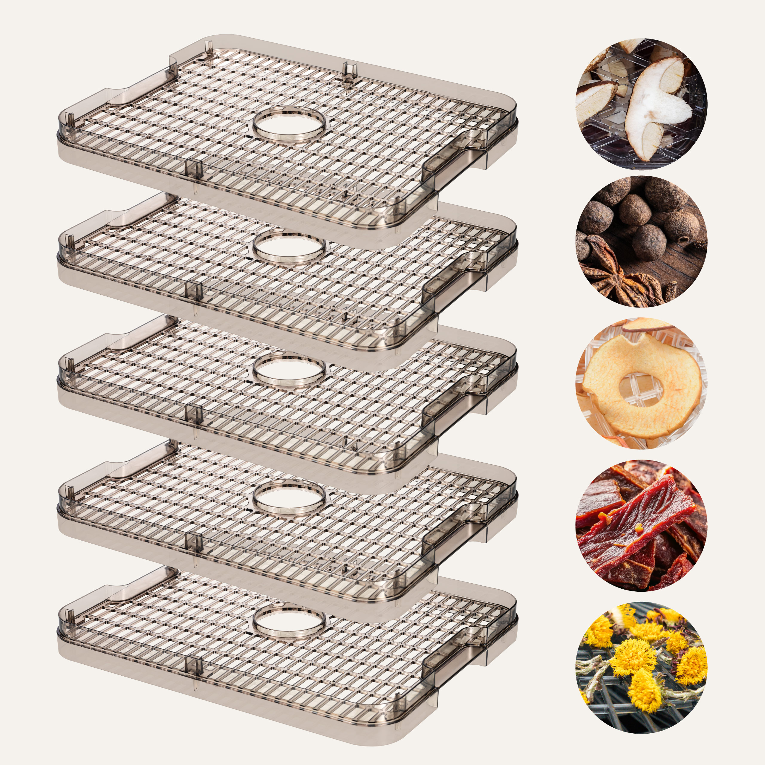 Pięć tacek do suszenia z różnymi suszonymi produktami spożywczymi po prawej stronie. Po prawej stronie znajdują się różne suszone przyprawy.