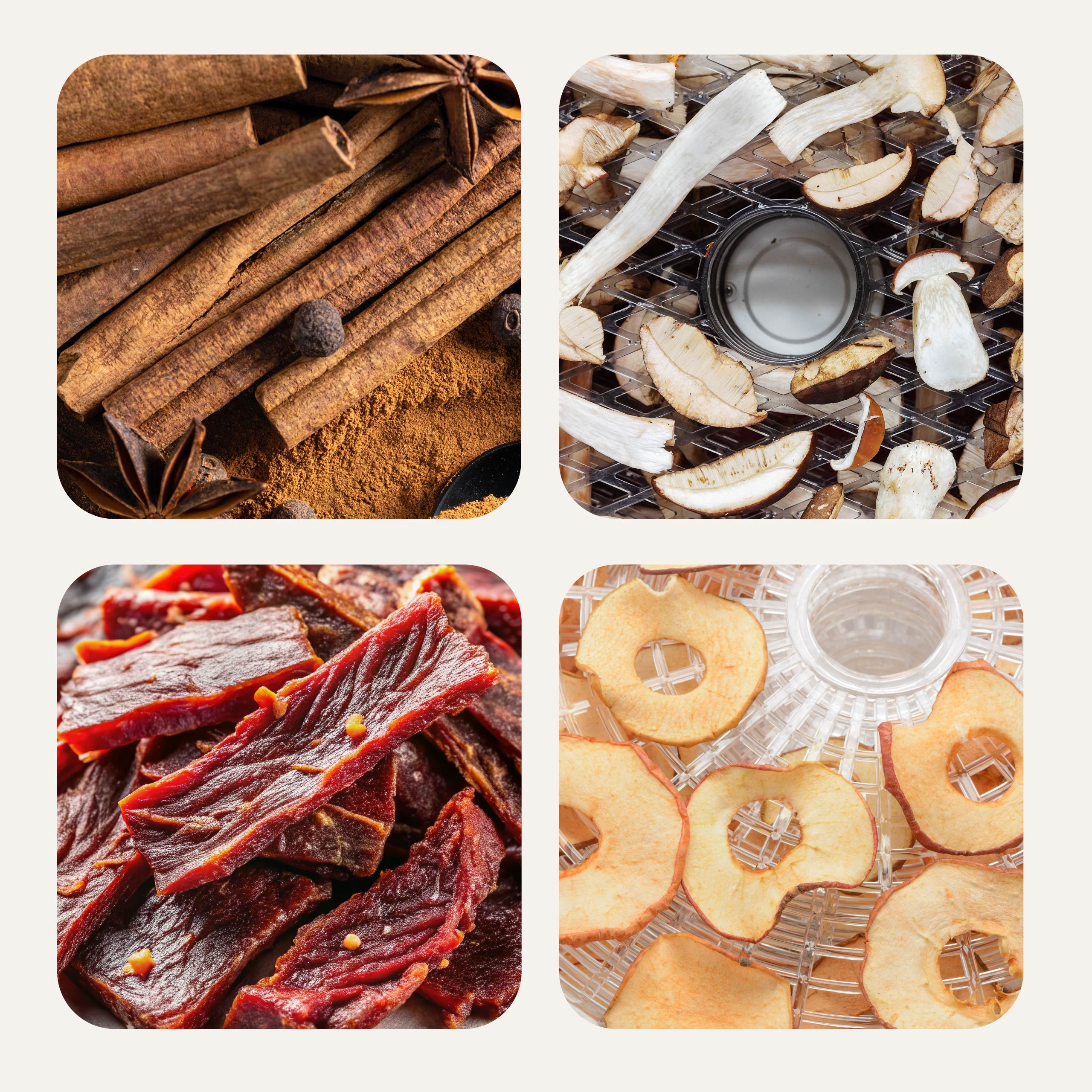 Kolaż suszonych produktów spożywczych, w tym lasek cynamonu, grzybów, suszonej wołowiny i plasterków jabłka.
