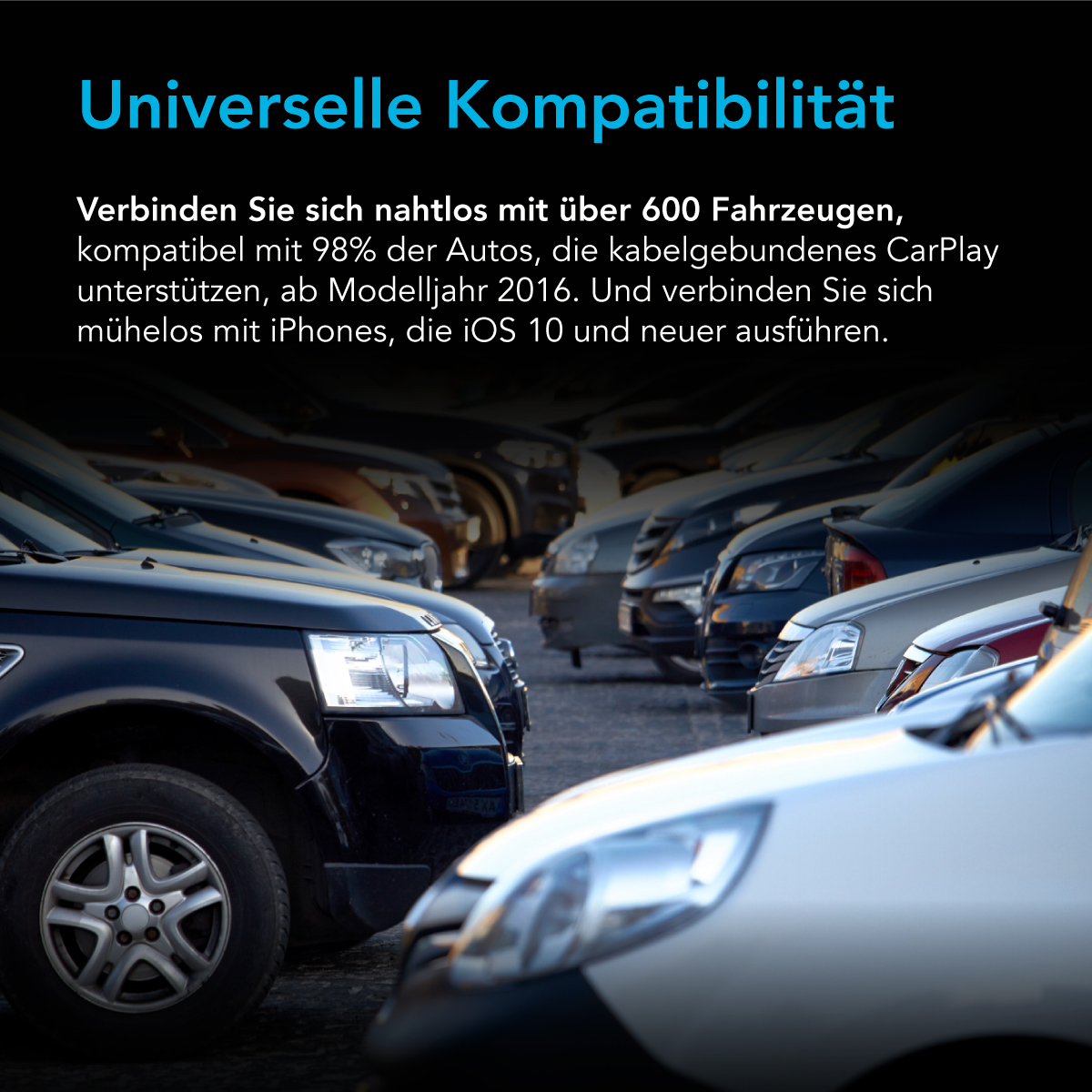 Autos parken in einer Reihe. Die Autos sind in verschiedenen Farben. Die Ansicht ist von einem niedrigen Winkel.