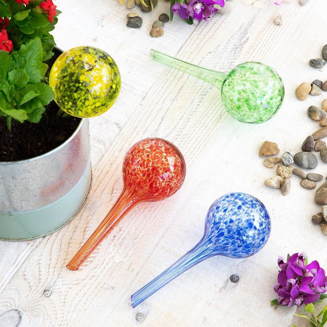 Vier bunte Glas-Bewässerungskugeln auf weißer Holzoberfläche. Eine Topfpflanze und Kieselsteine sind ebenfalls vorhanden.