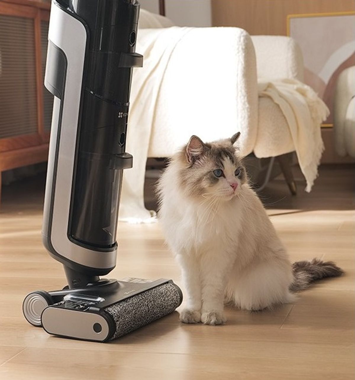 Un gatto seduto vicino a un aspirapolvere, di spalle, in un ambiente domestico.