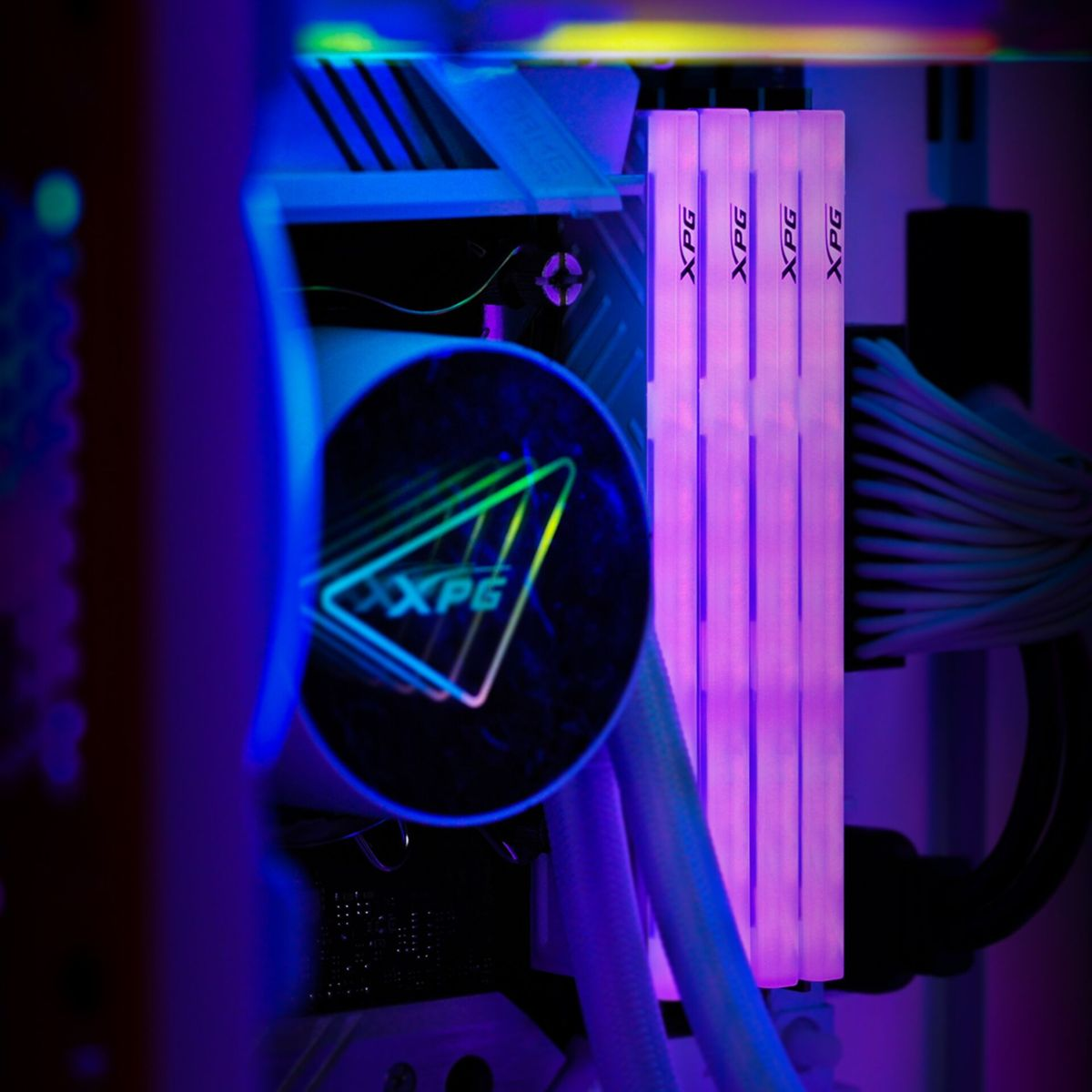 Un primo piano dei moduli RAM illuminati di un computer con il logo XPG, in una tonalità viola.
