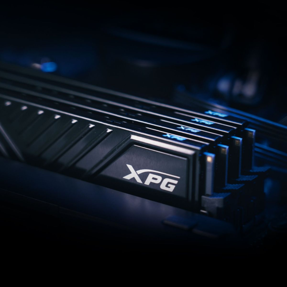 Nahaufnahme von schwarzen RAM-Modulen mit XPG-Logo, die in einem Computer installiert sind.