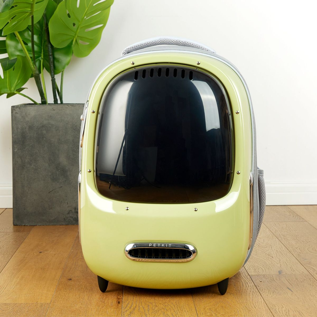 Niebiesko-czarny transporter dla zwierząt z przezroczystym przodem. Stoi na drewnianej podłodze z rośliną.