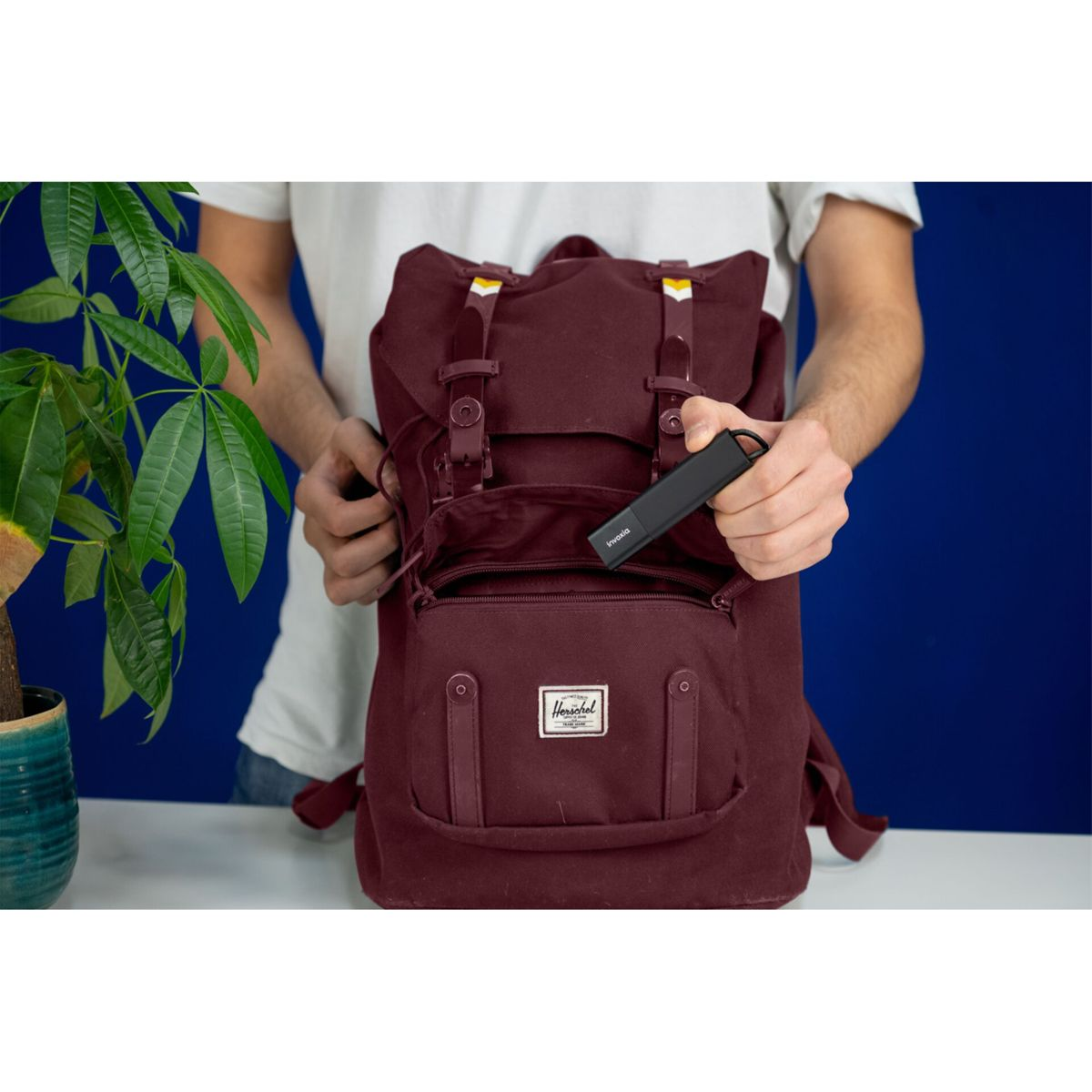 Osoba wkłada czarny pendrive do bordowego plecaka. Roślina po lewej.