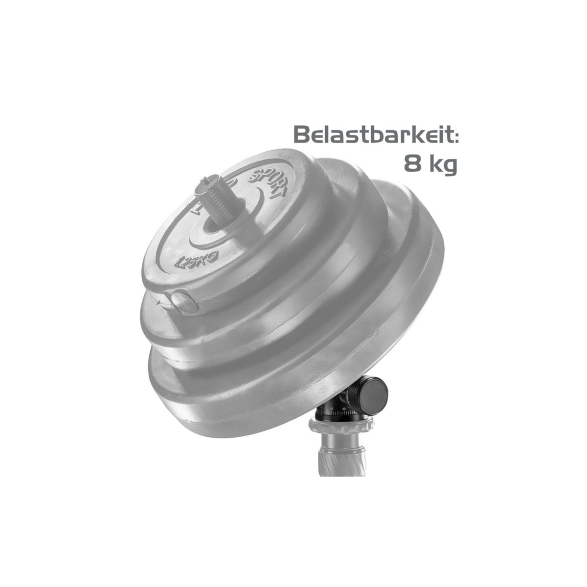 Pesi su un supporto. Il testo Belastbarkeit: 8 kg è scritto sull'immagine.