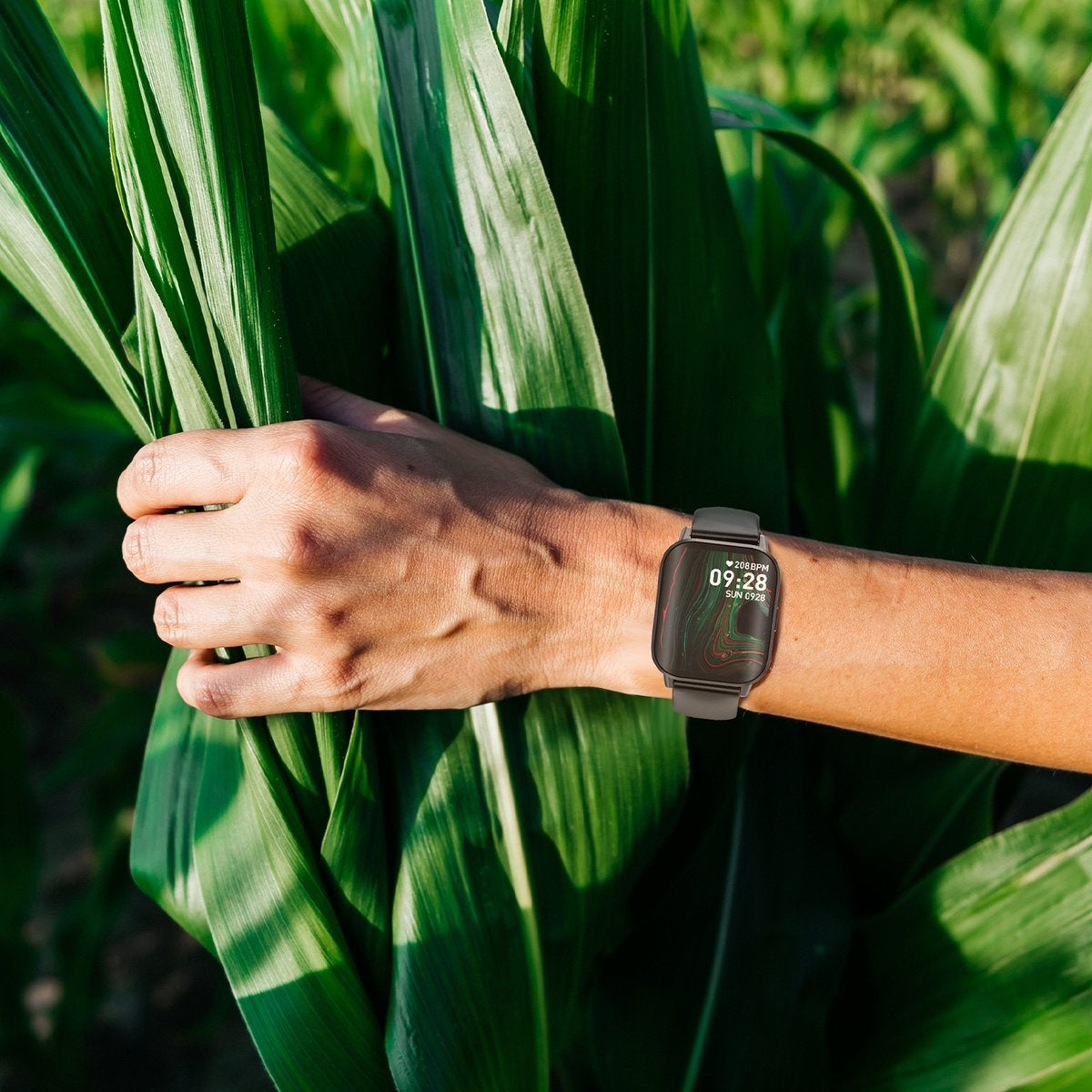 A smartwatch is worn on a wrist, positioned against a backdrop of vibrant green corn stalks.