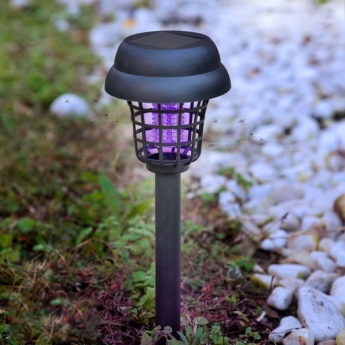 Una trappola per zanzare nera in un giardino. La trappola ha una luce viola. Ci sono alcune zanzare che volano.