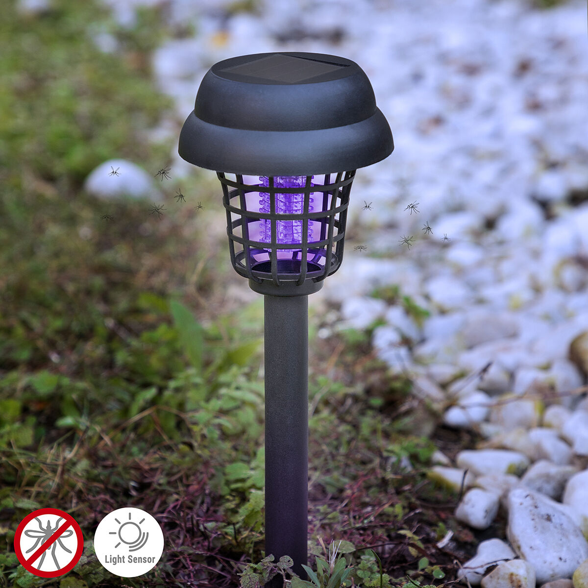 Una trappola per zanzare nera con luce viola e sensore di luce. Alcune zanzare volano.