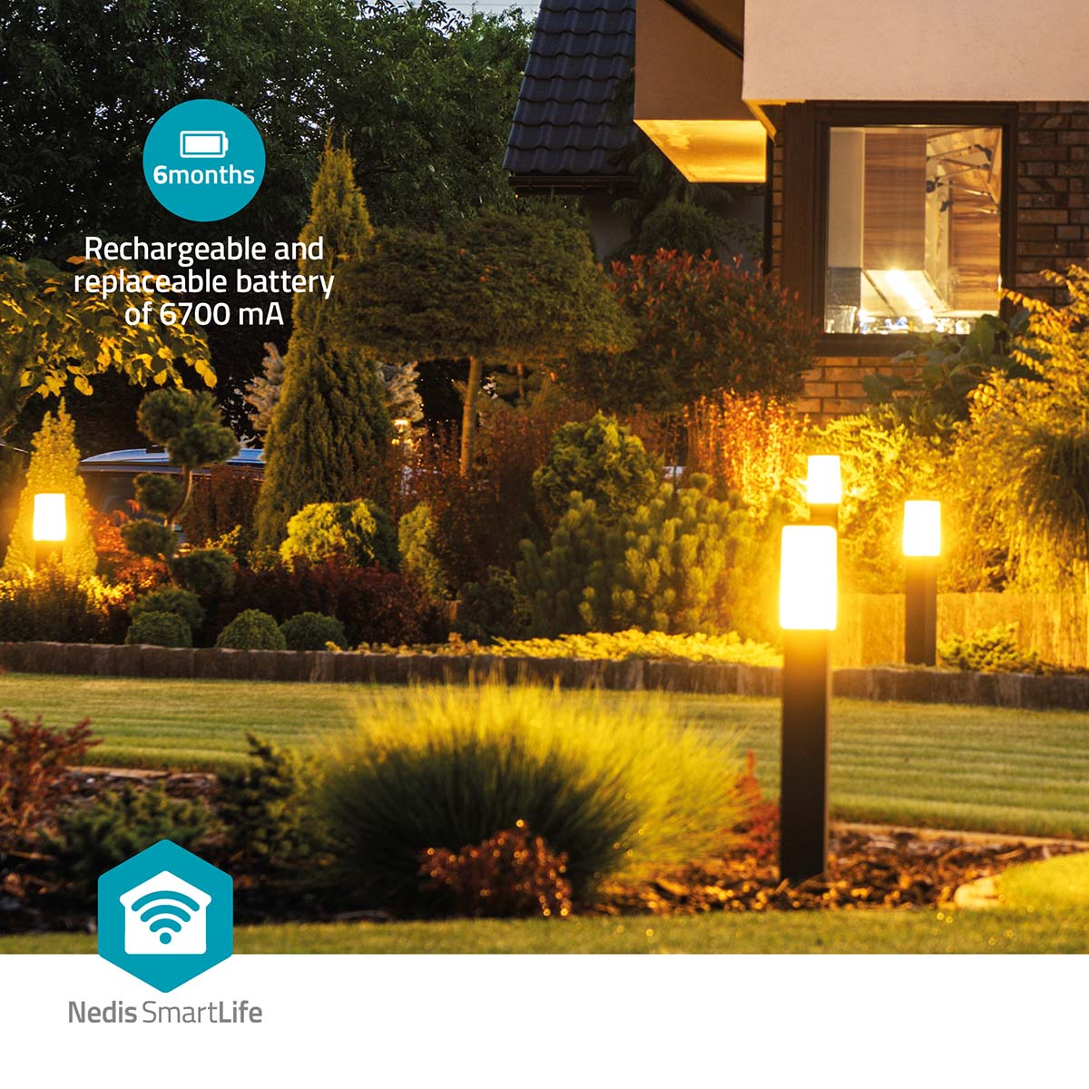 Außenszene bei Nacht, beleuchtet von mehreren weißen Lampen auf einer Wiese, in der Nähe eines Hauses.