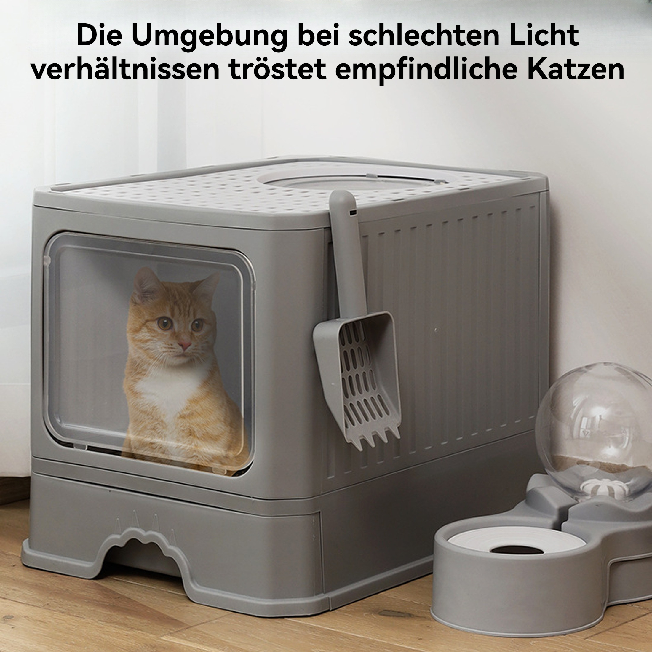 Eine graue Katzentoilette mit einer Katze darin und einer Wasser- und Futterschüssel daneben.