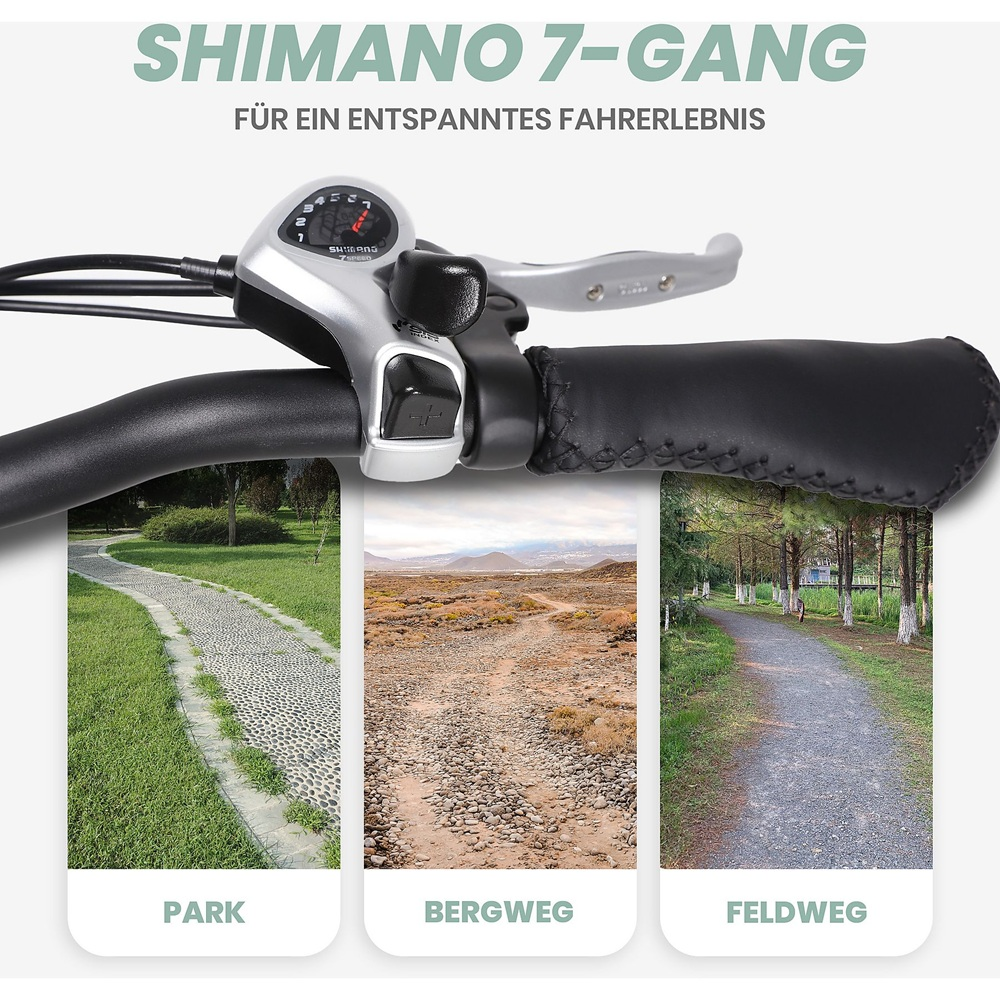 Lenkerdetail mit Ganganzeige und drei eingebetteten Bildern von Wegen. Das Fahrrad ist silber und schwarz.