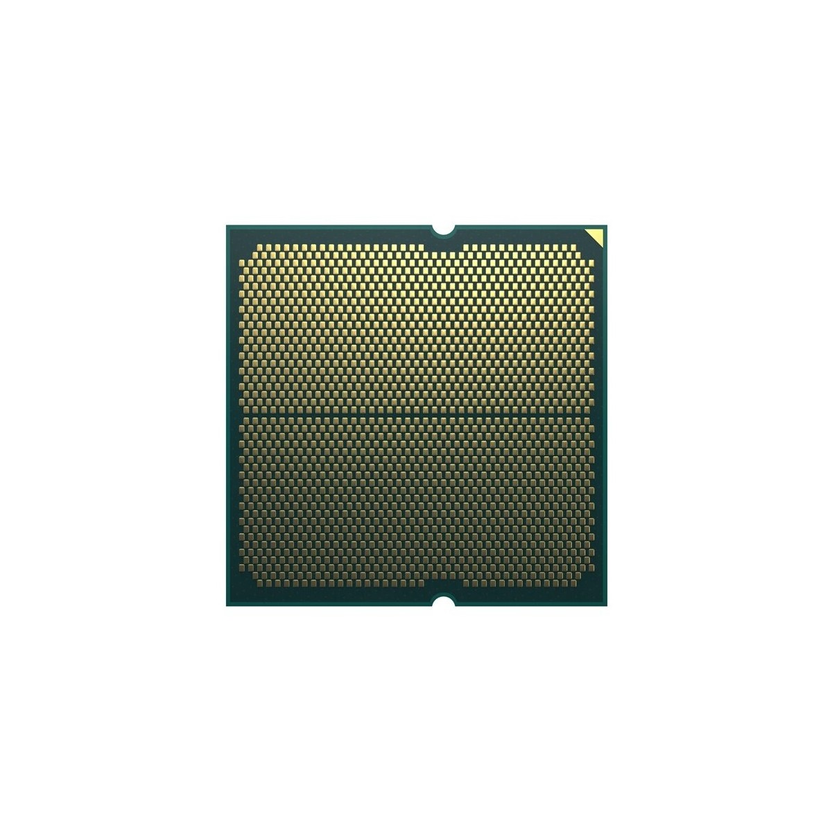 Spód procesora, pokazujący liczne złote piny na ciemnozielonym kwadracie, z białym tłem.