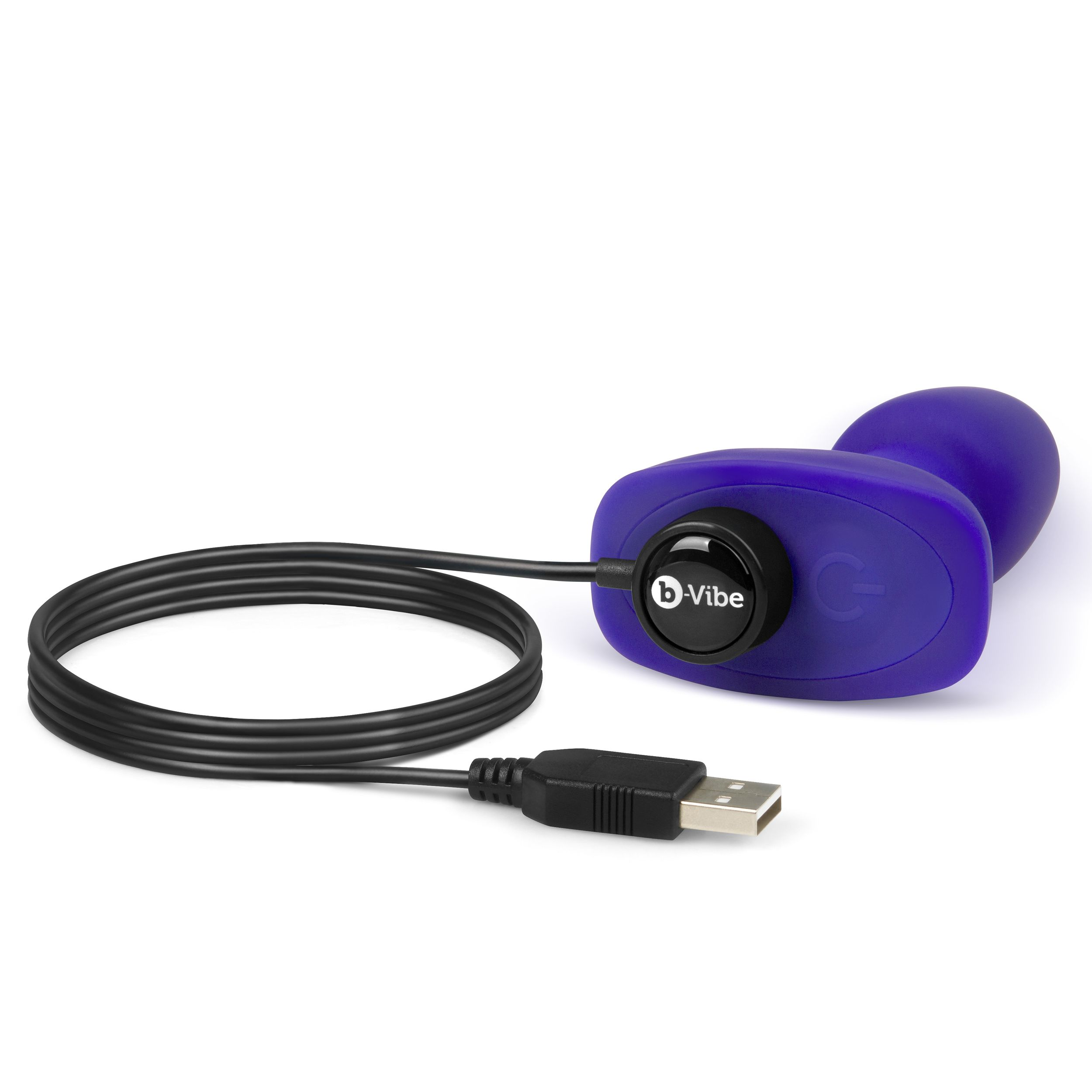 Ein violetter Vibrator mit USB-Kabel und schwarzem Knopf an der Seite, vor weißem Hintergrund.
