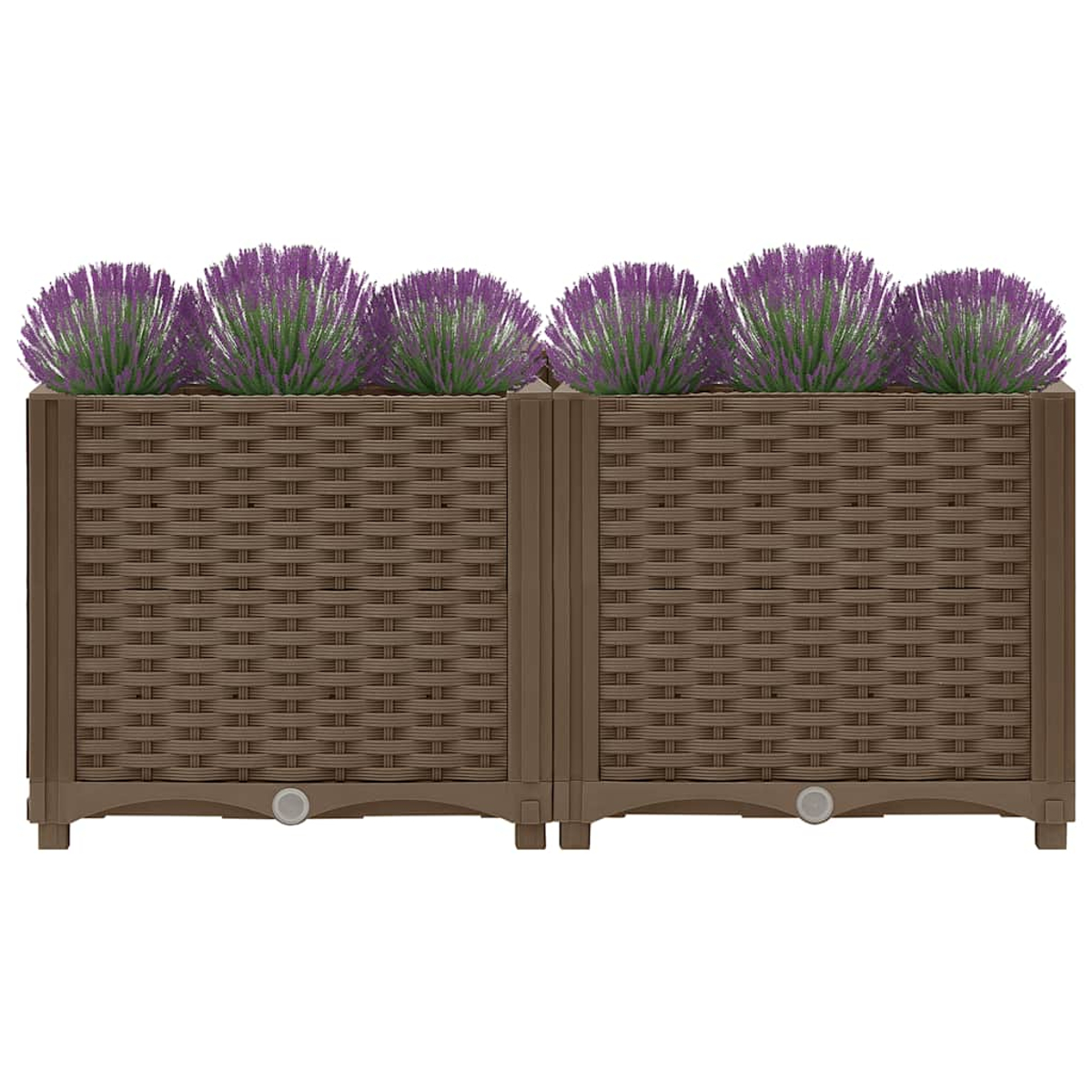 Zwei braune Korbgewebepflanzkästen mit lila Blumen. Weißer Hintergrund.