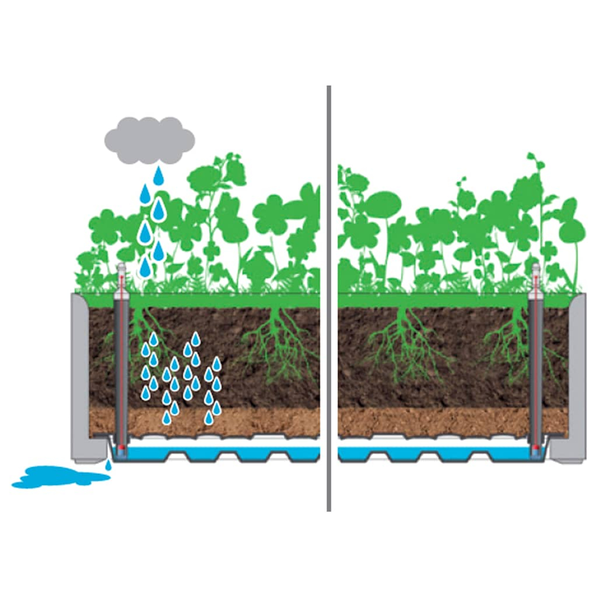 Diagramm, das Regen, Wasseraufnahme und Pflanzenwurzeln in einem Pflanzgefäß mit einem Vergleich zeigt.