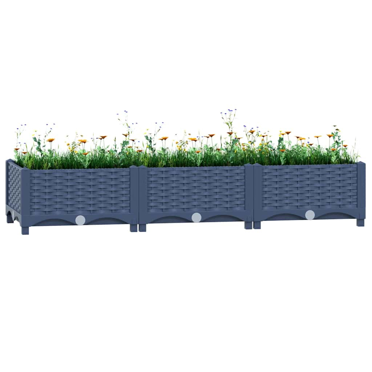 Eine lange, rechteckige Pflanzbox in Dunkelblau, gefüllt mit einer Vielzahl von Blumen und Pflanzen.