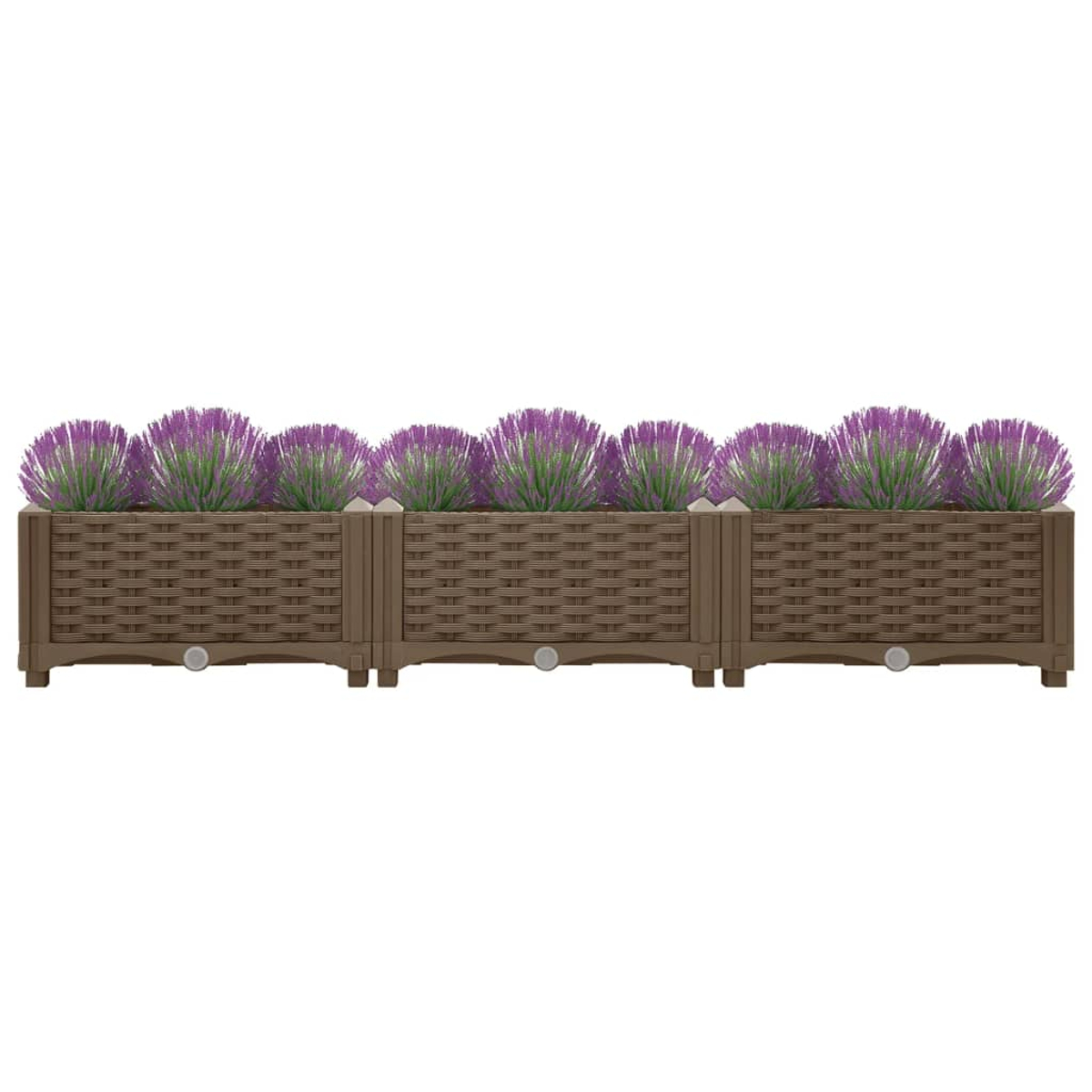Brauner Pflanzkübel mit Lavendelblüten. Der Hintergrund ist weiß.