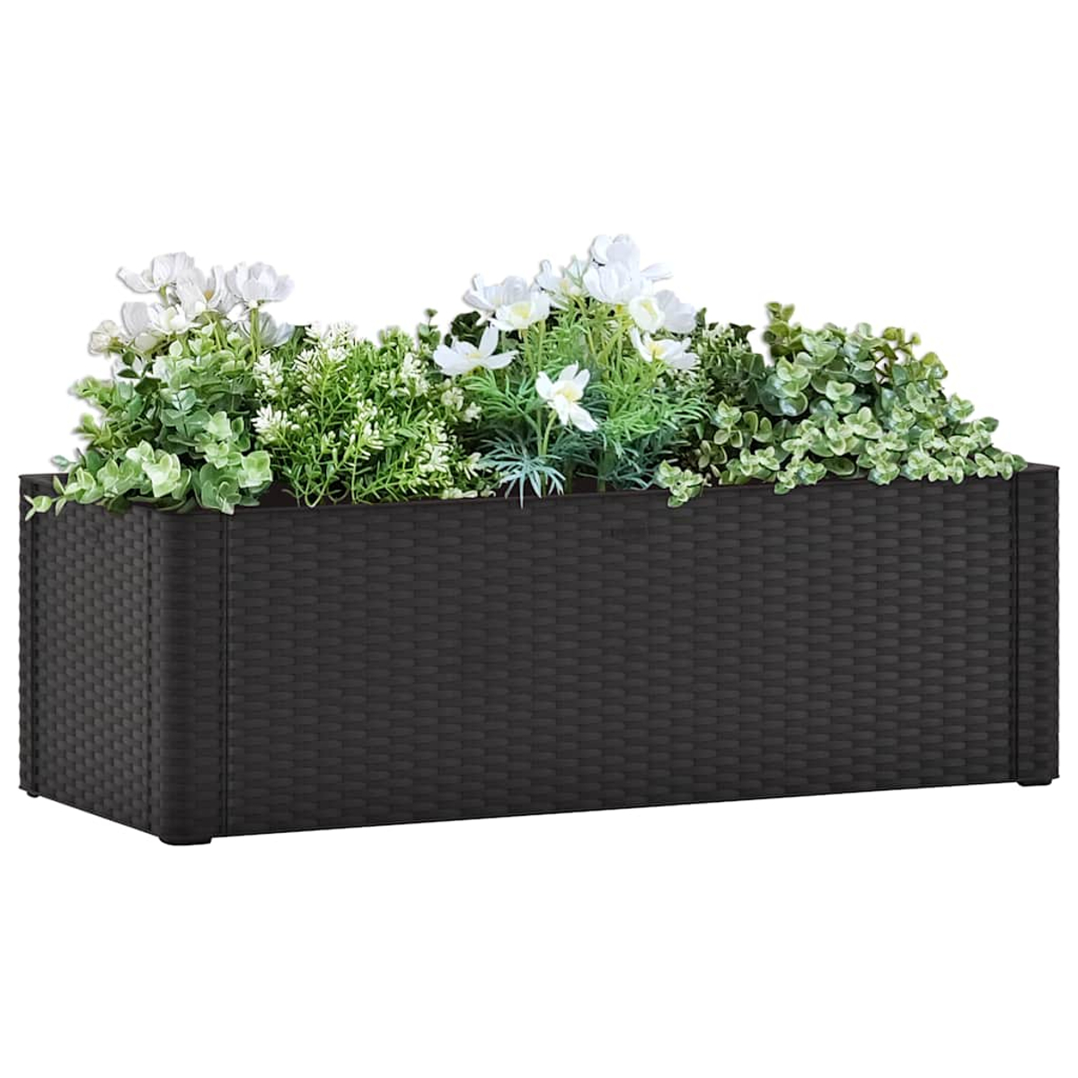 Ein schwarzer, rechteckiger Pflanzkasten gefüllt mit weißen und grünen Pflanzen und Blumen.