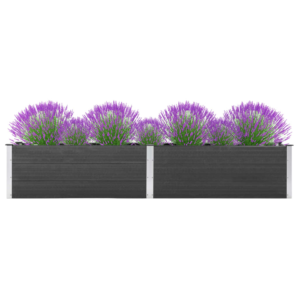 Zwei dunkelgraue Pflanzkästen mit lila Blumenbüschen. Die Pflanzkästen stehen nebeneinander.