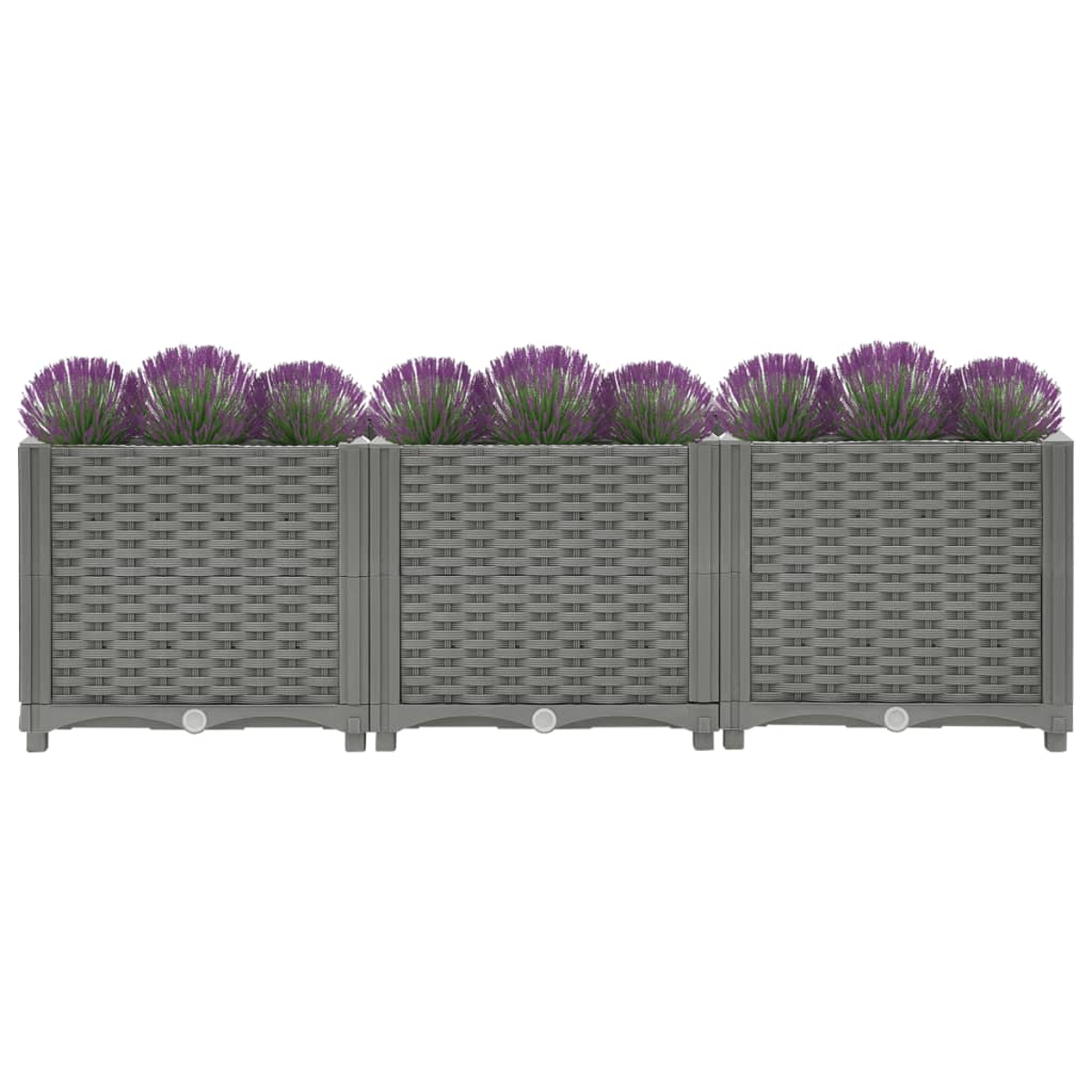 Drei verbundene graue Pflanzgefäße mit lila Blumen. Gewebte Textur, weißer Hintergrund.