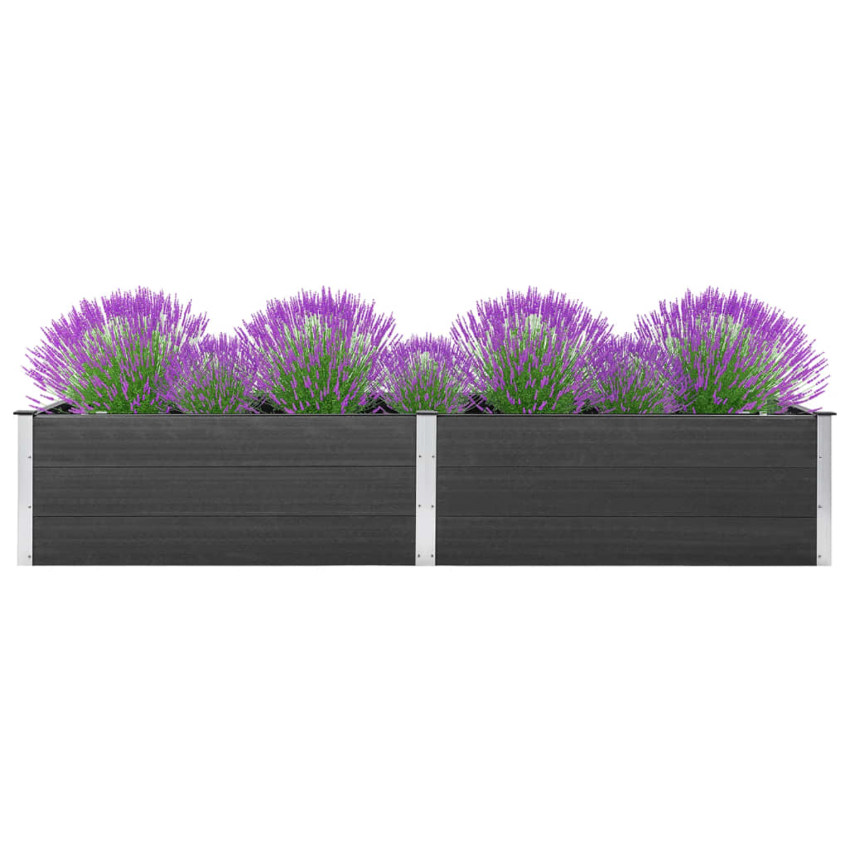 Ein rechteckiger dunkelgrauer Pflanzkübel mit lila Blumen. Weißer Hintergrund.