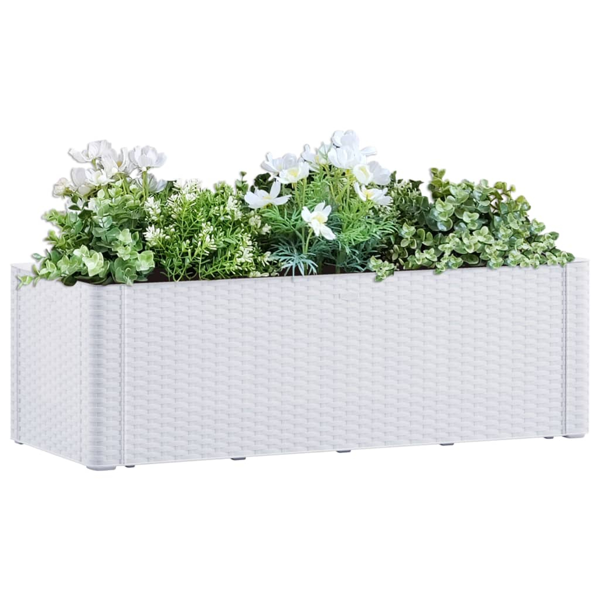 Weißer rechteckiger Pflanzkübel mit verschiedenen Blumen, isoliert.