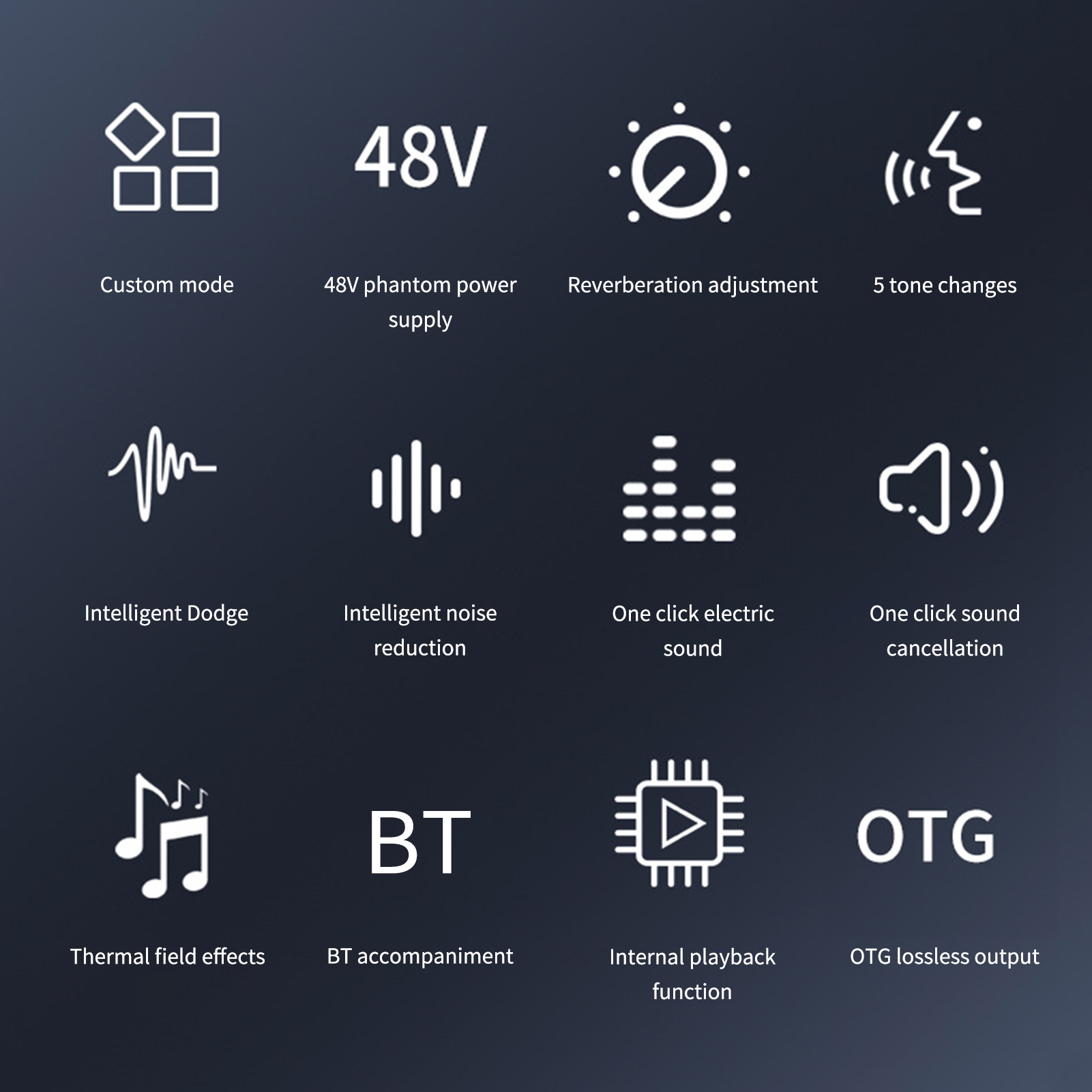 Symbole für Audioausstattungsmerkmale: Custom-Modus, 48V Phantomspeisung und mehr.