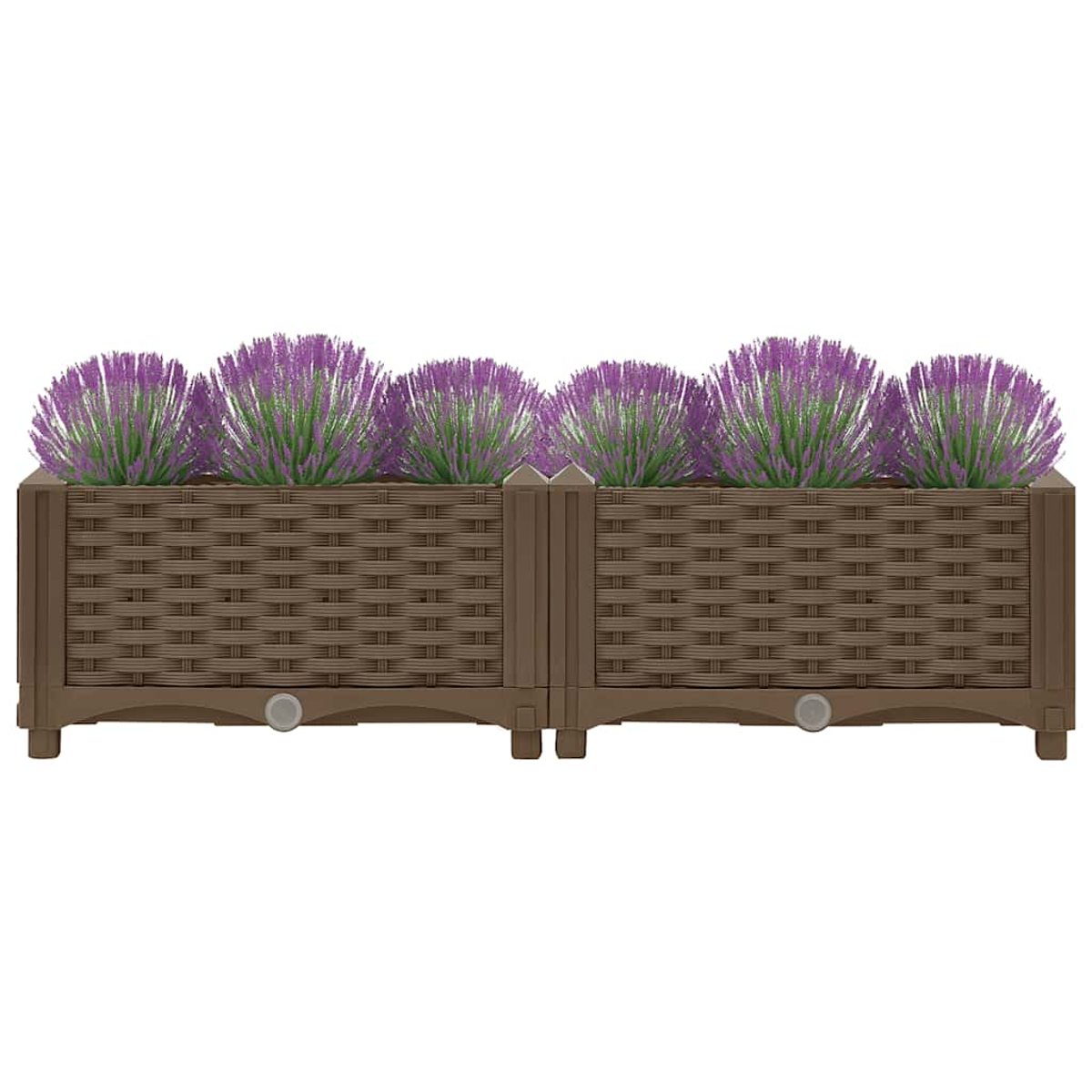 Zwei braune Pflanzkübel gefüllt mit lila Blumen. Die Kübel haben ein Webmuster.