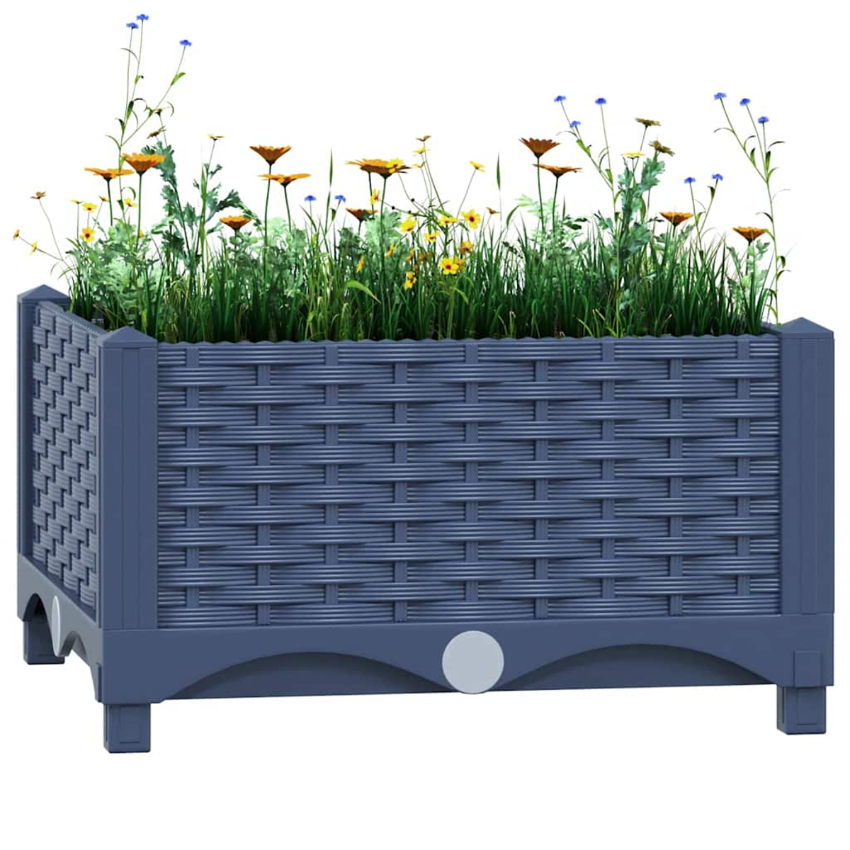 Eine blaue Weidenpflanzkasten mit verschiedenen Blumen und Gräsern, die daraus wachsen.