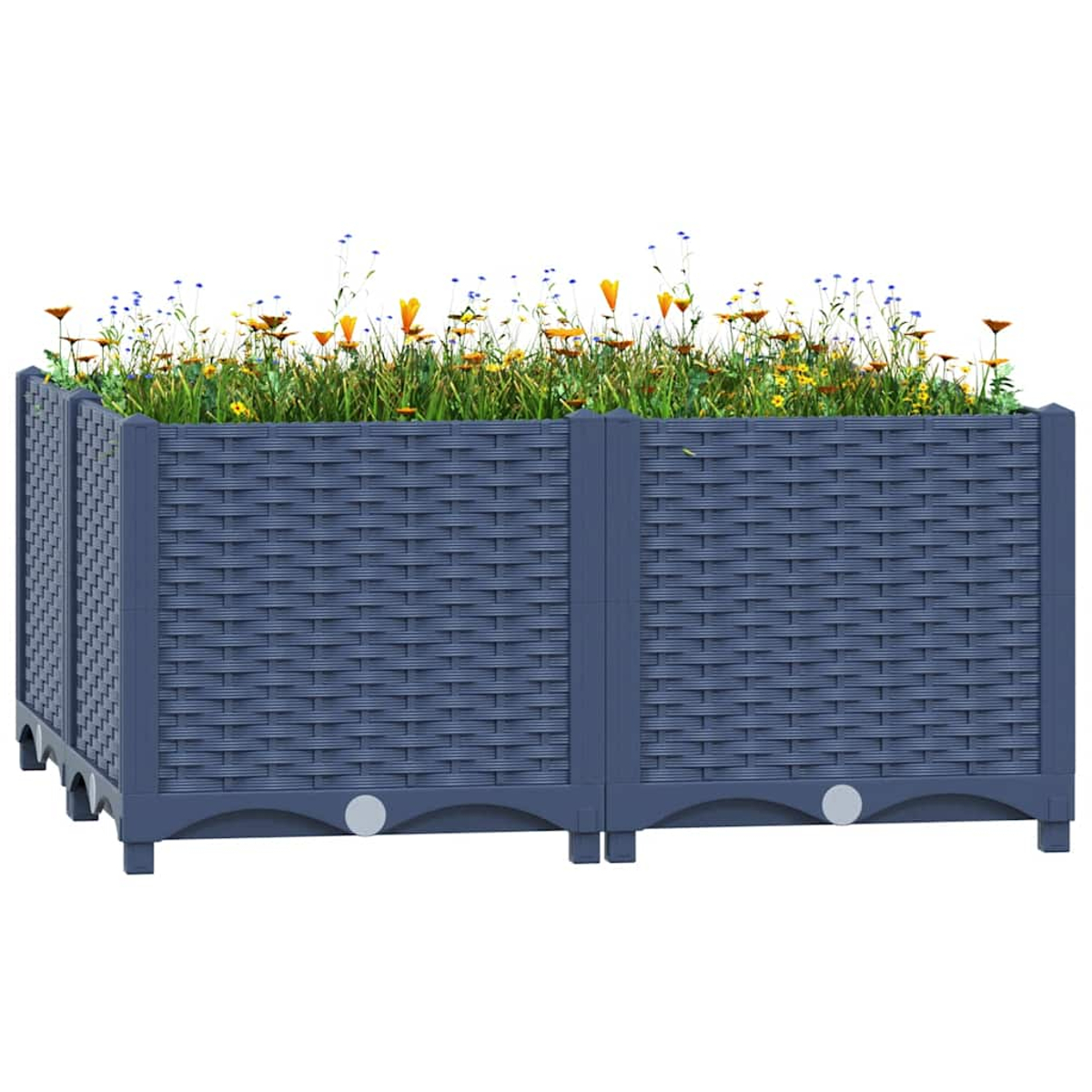 Ein dunkelblauer Pflanzkübel ist mit grünem Gras und gelben und orangefarbenen Blumen gefüllt.