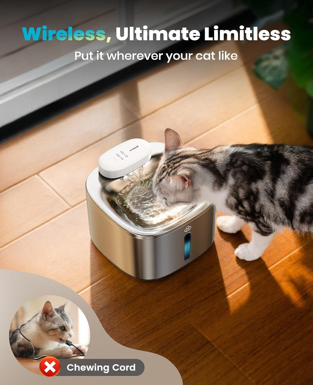 Eine Katze trinkt aus einer Haustier-Fontäne. Katze kaut am Kabel. Der Brunnen ist silber.