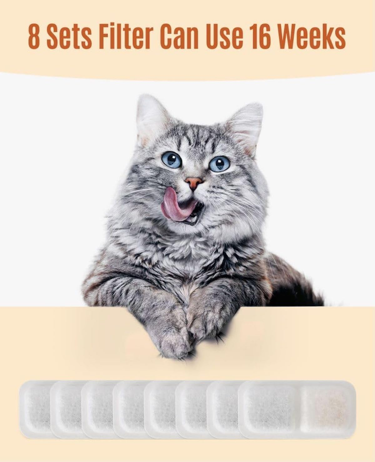 Eine graue Katze mit blauen Augen leckt sich die Lippen. Darunter acht Filterpads auf beigem Grund.