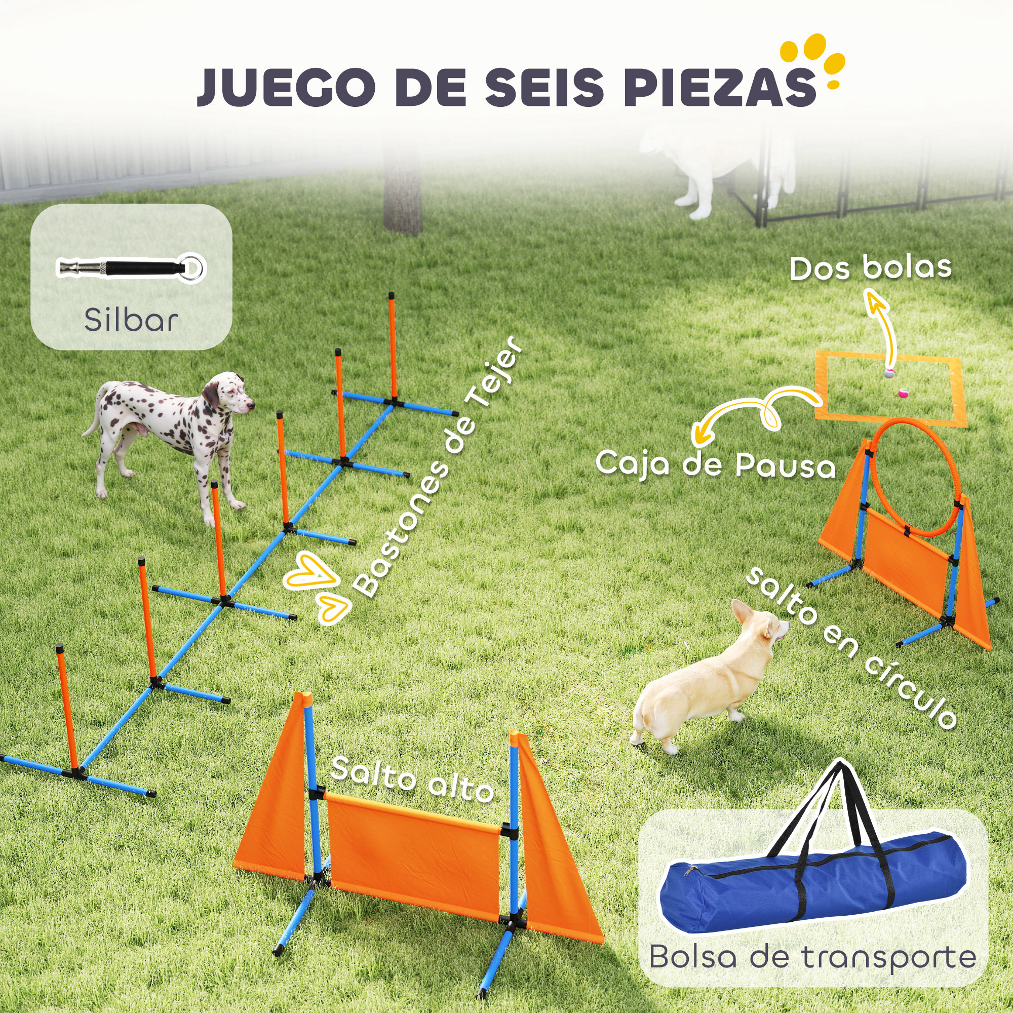 Imagen de un juego de entrenamiento de agilidad canina de seis piezas sobre césped, con varios obstáculos y ayudas para el entrenamiento.