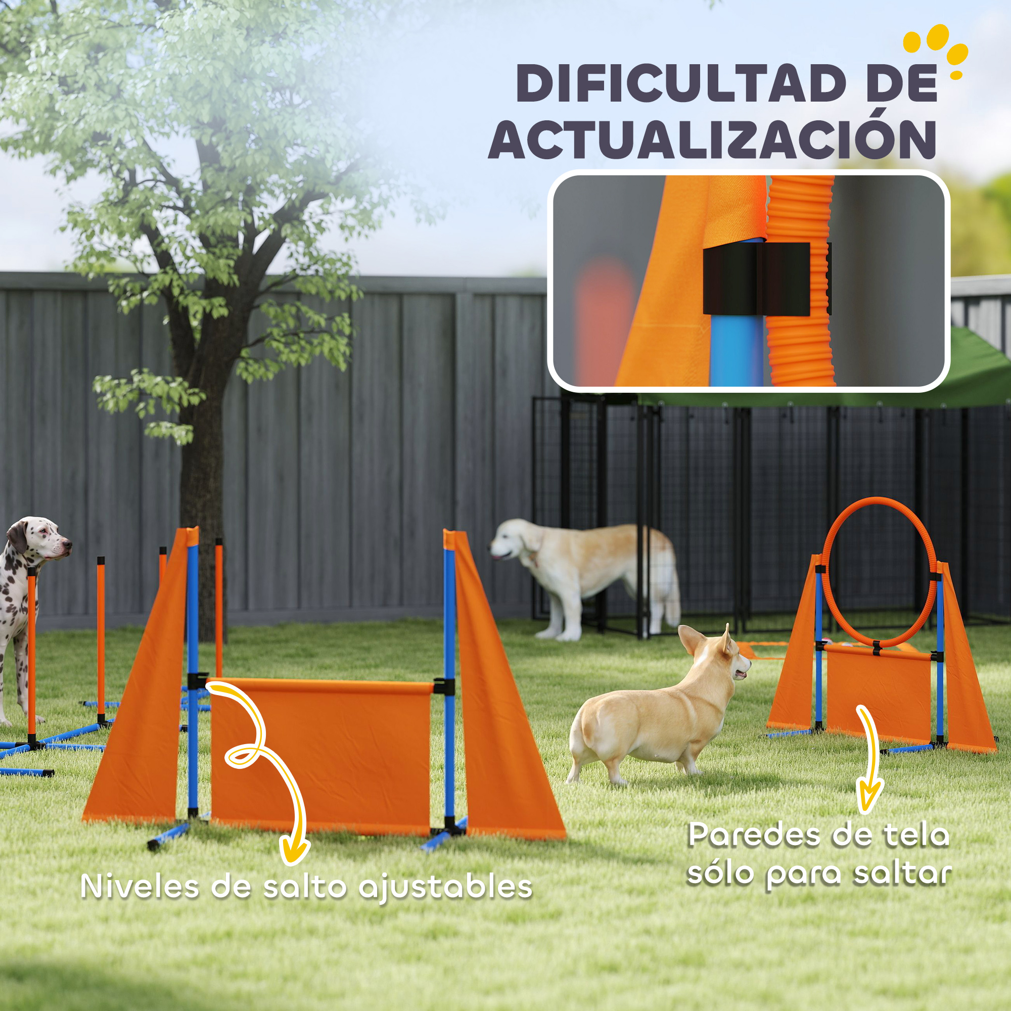 Imagen con texto sobre entrenamiento de agilidad canina, mostrando a un perro saltando un obstáculo.