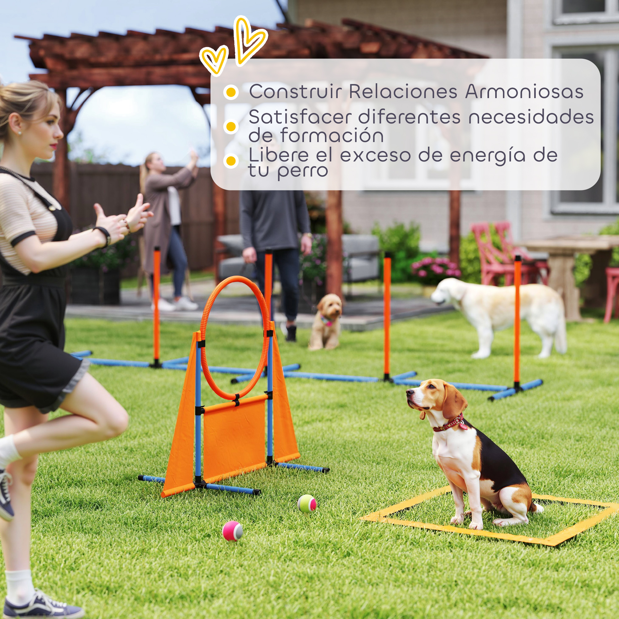 Mujer entrenando a un perro en un jardín con césped con equipo de agilidad canina. Texto en español en la imagen.
