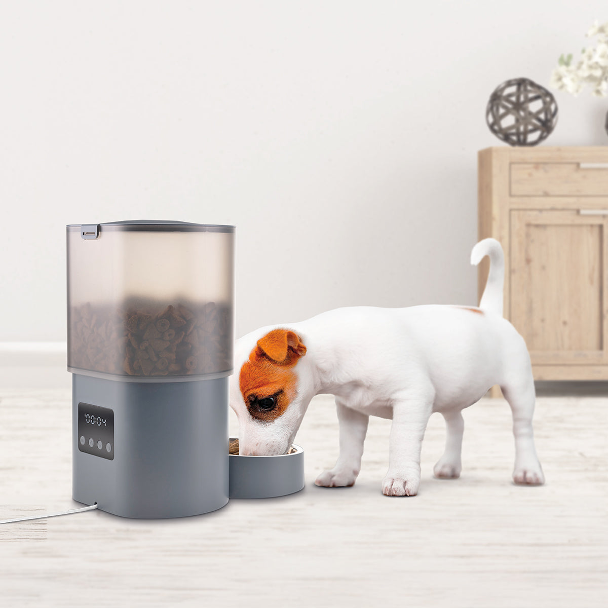 Un perro pequeño come de un cuenco junto a un dispensador de comida para mascotas.