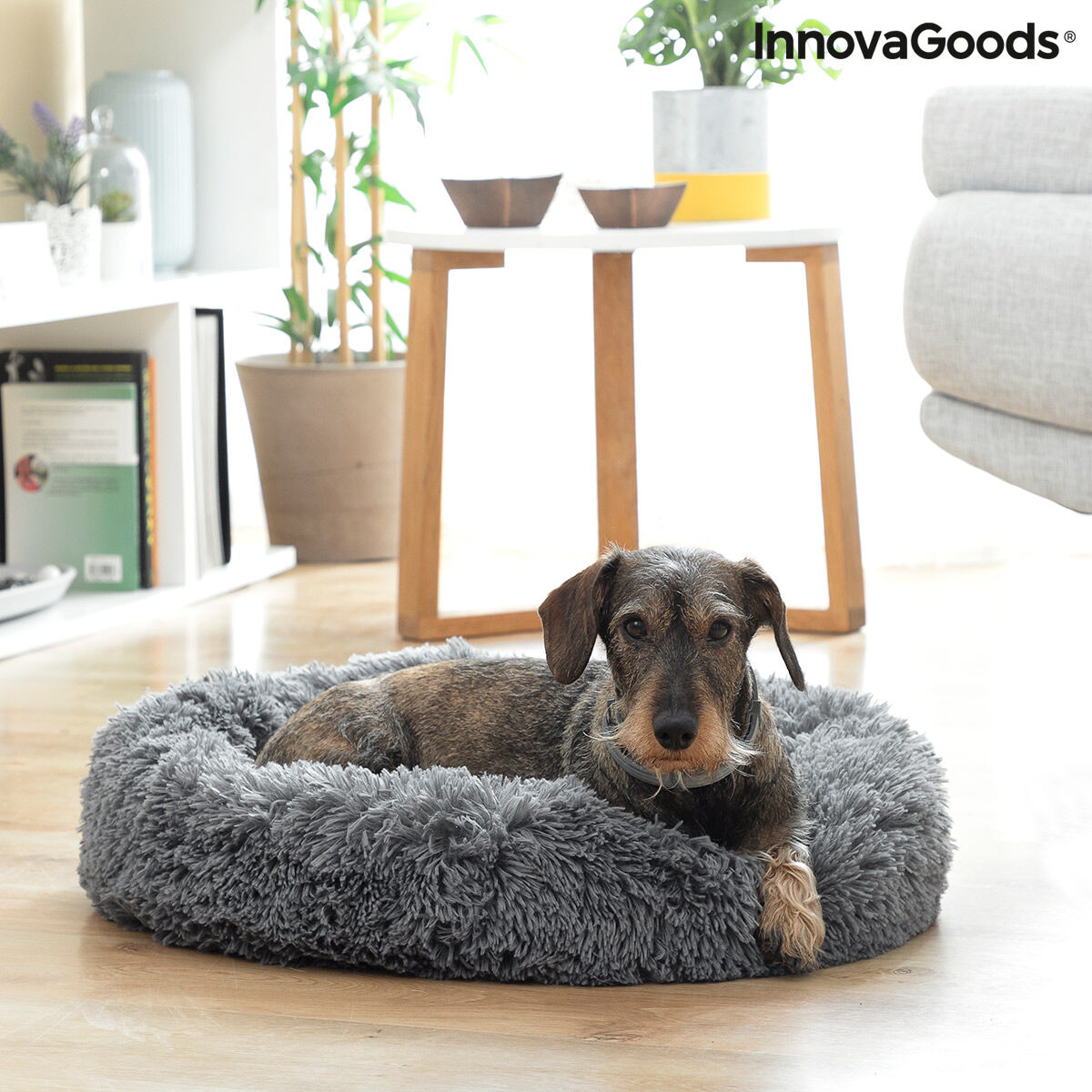 Un cane è sdraiato in un letto grigio per animali domestici su un pavimento in legno. Una mensola e un tavolo sono sullo sfondo.