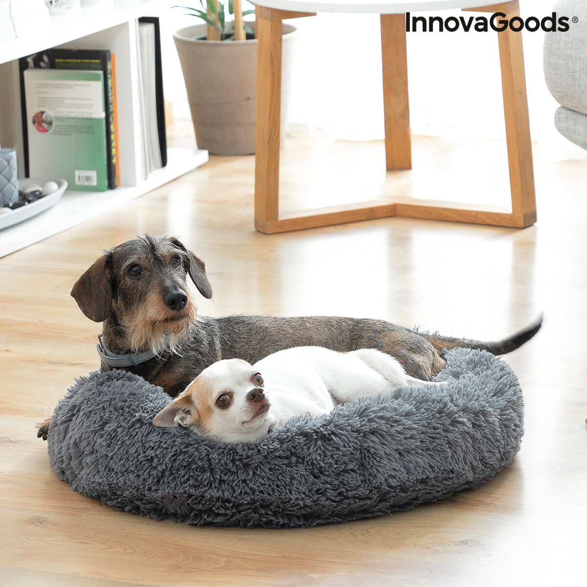 Due cani sono sdraiati in un letto grigio e soffice per animali domestici. Il letto è su un pavimento in legno. Il marchio è InnovaGoods.