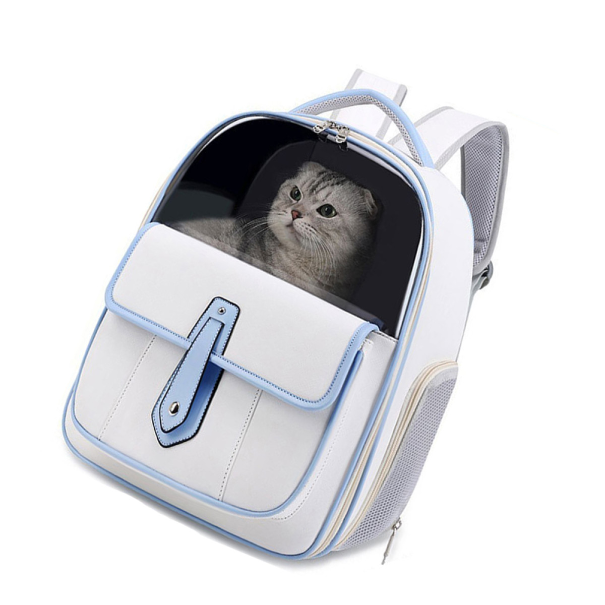 Un gato dentro de una mochila blanca con un ribete azul. La mochila tiene una parte superior transparente y un bolsillo con solapa.