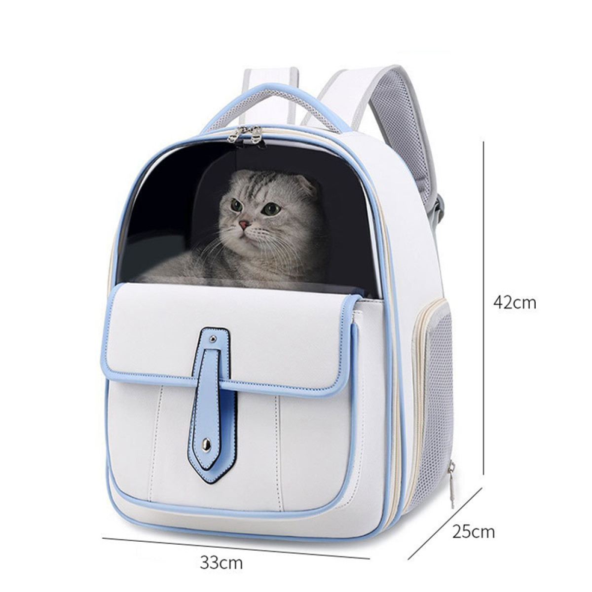 Un gato en una mochila transportadora para mascotas blanca con un acento azul y ventana transparente.
