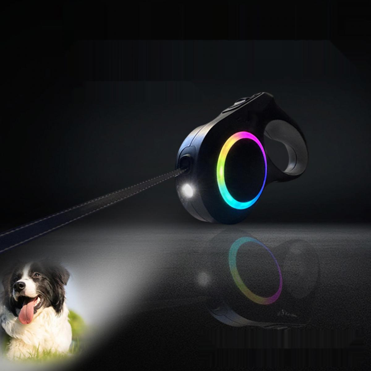 Ein einziehendes Hundehalsband mit Licht und einem farbigen Ring. Ein Hund ist im Hintergrund.