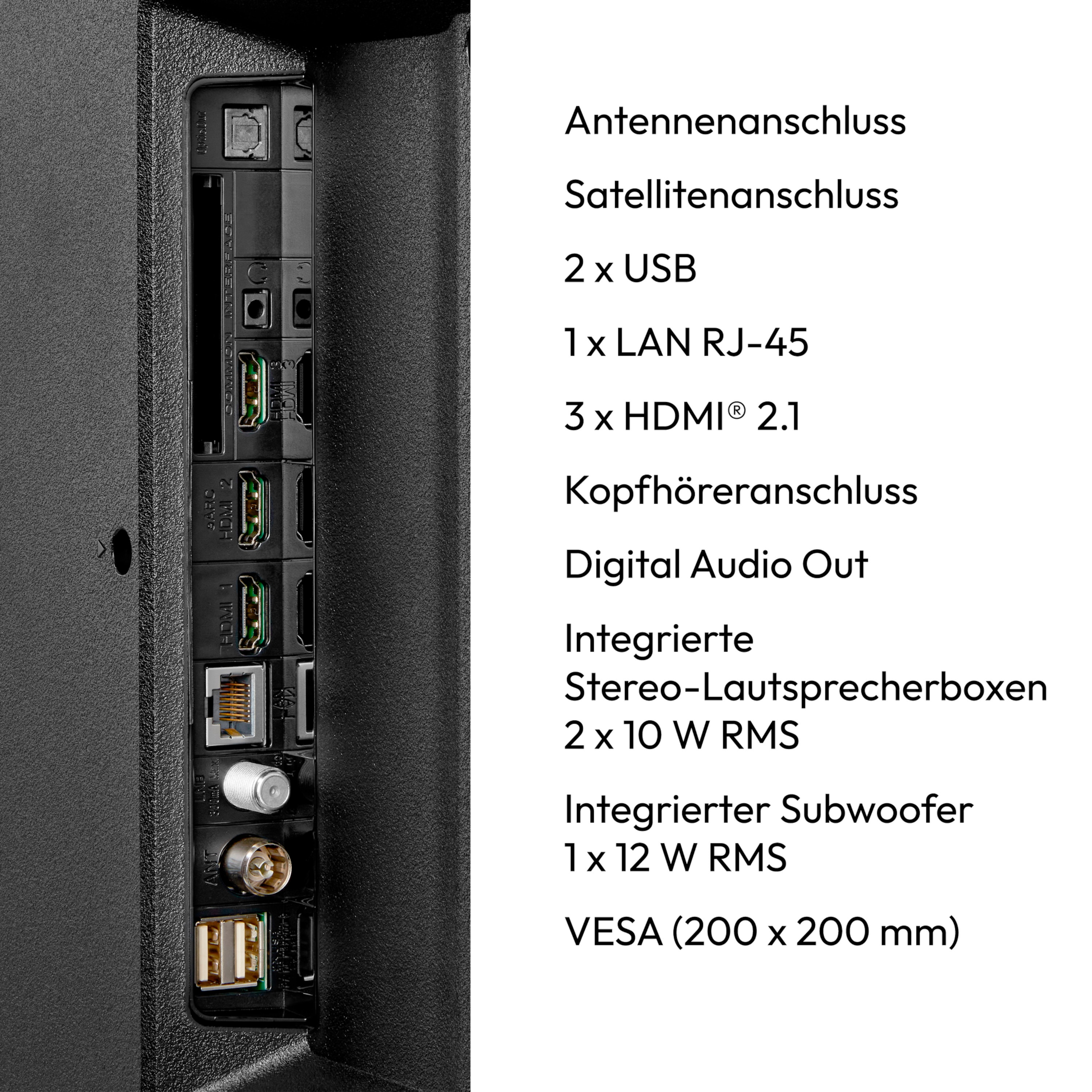 Eine Nahaufnahme der Rückseite eines Fernsehers, die verschiedene Anschlüsse und Verbindungen zeigt, zusammen mit Beschriftungen für jeden Anschlusstyp.