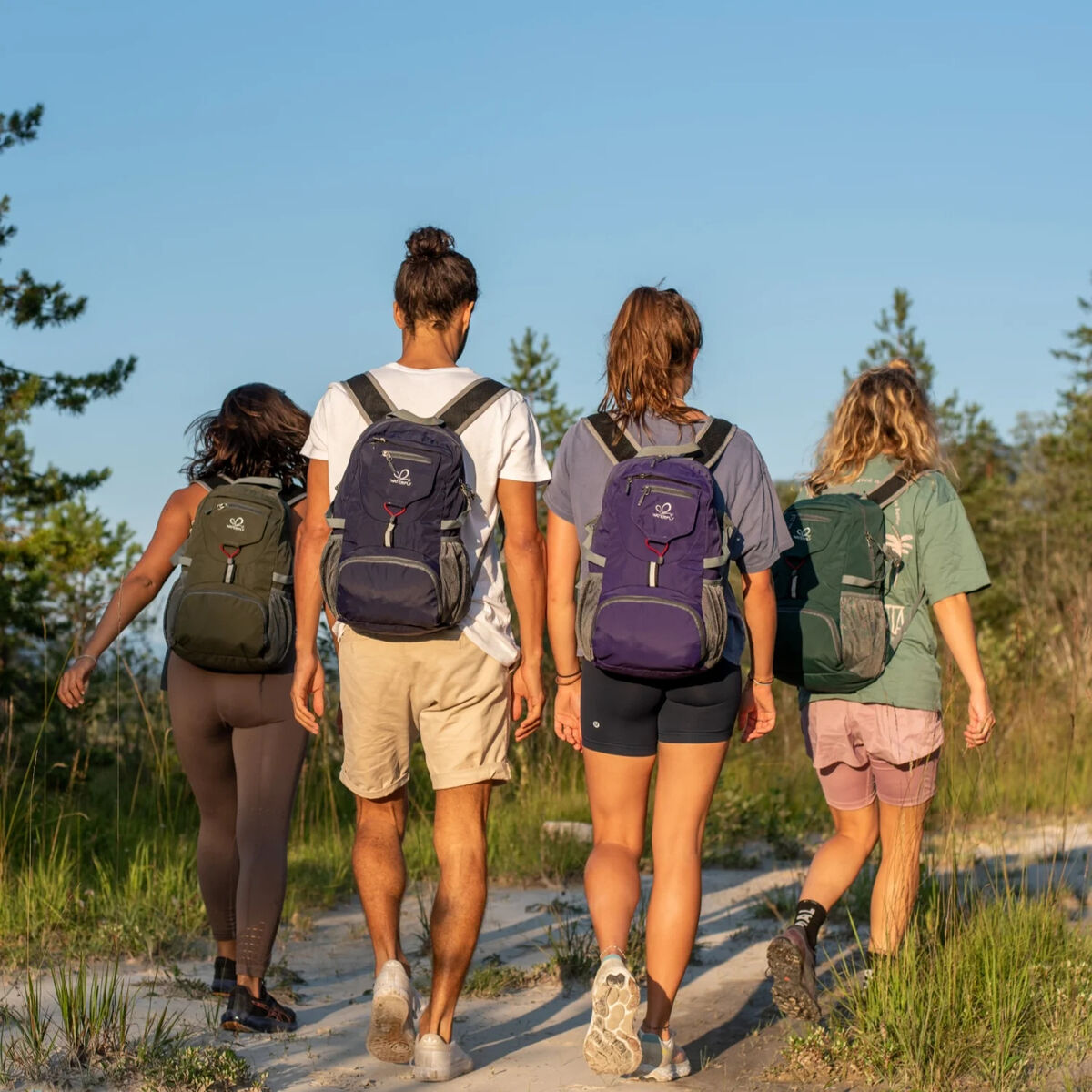 Cuatro personas con mochilas caminan por un sendero. Dos son hombres, dos son mujeres. Se alejan de la cámara.