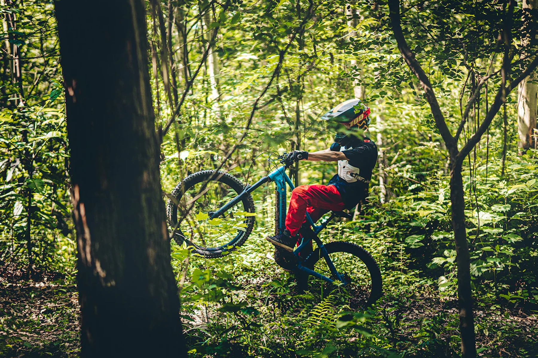 Ein Mountainbiker im Wald, der einen Wheelie macht, mit einem blauen Fahrrad und roter Hose. Bäume umgeben.