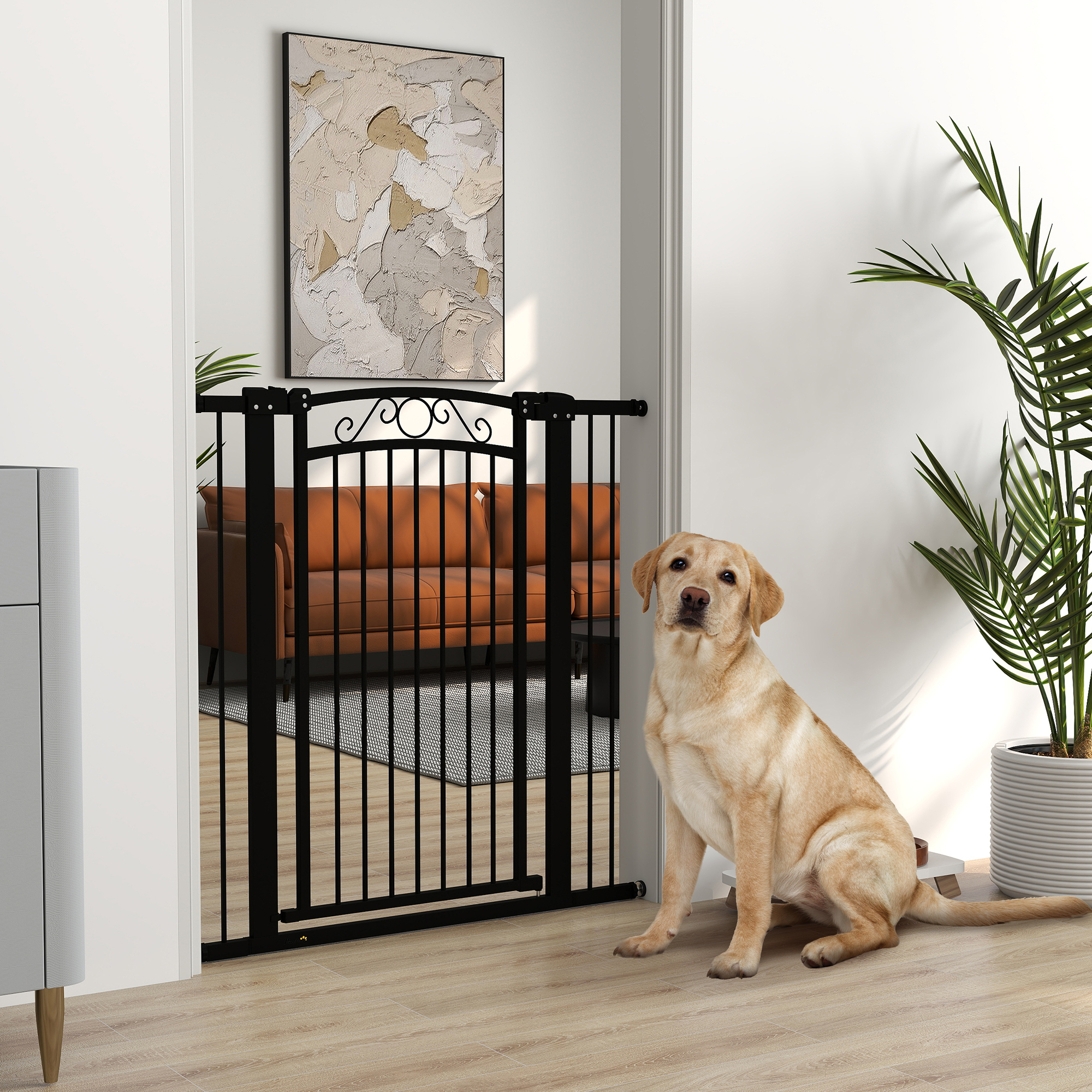 Un perro está sentado junto a una puerta negra, mirando a la cámara. Un sofá marrón es visible en el fondo.