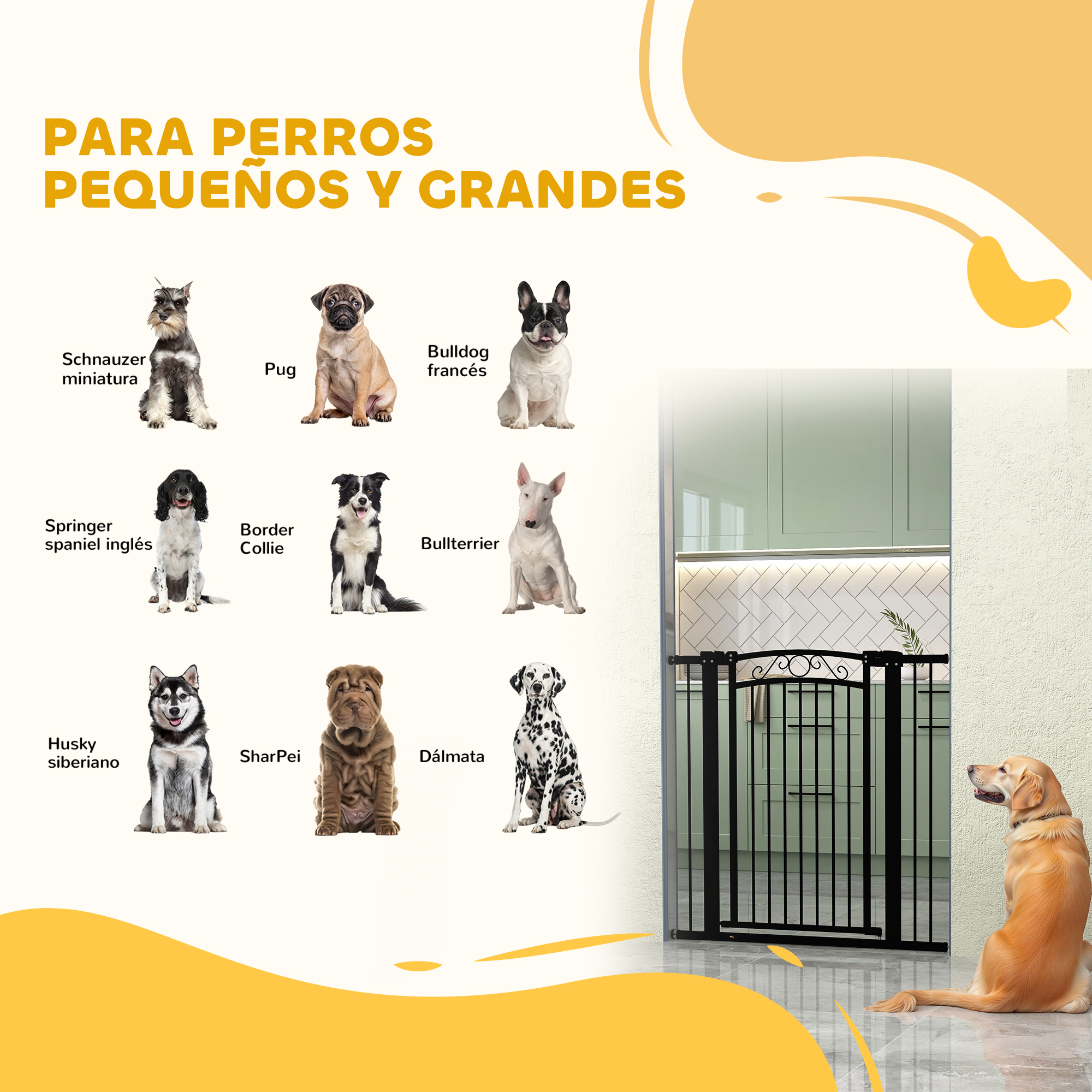 Nueve razas de perros se muestran en la imagen, con una puerta para mascotas a la derecha. Las palabras 'PARA PERROS...' arriba.