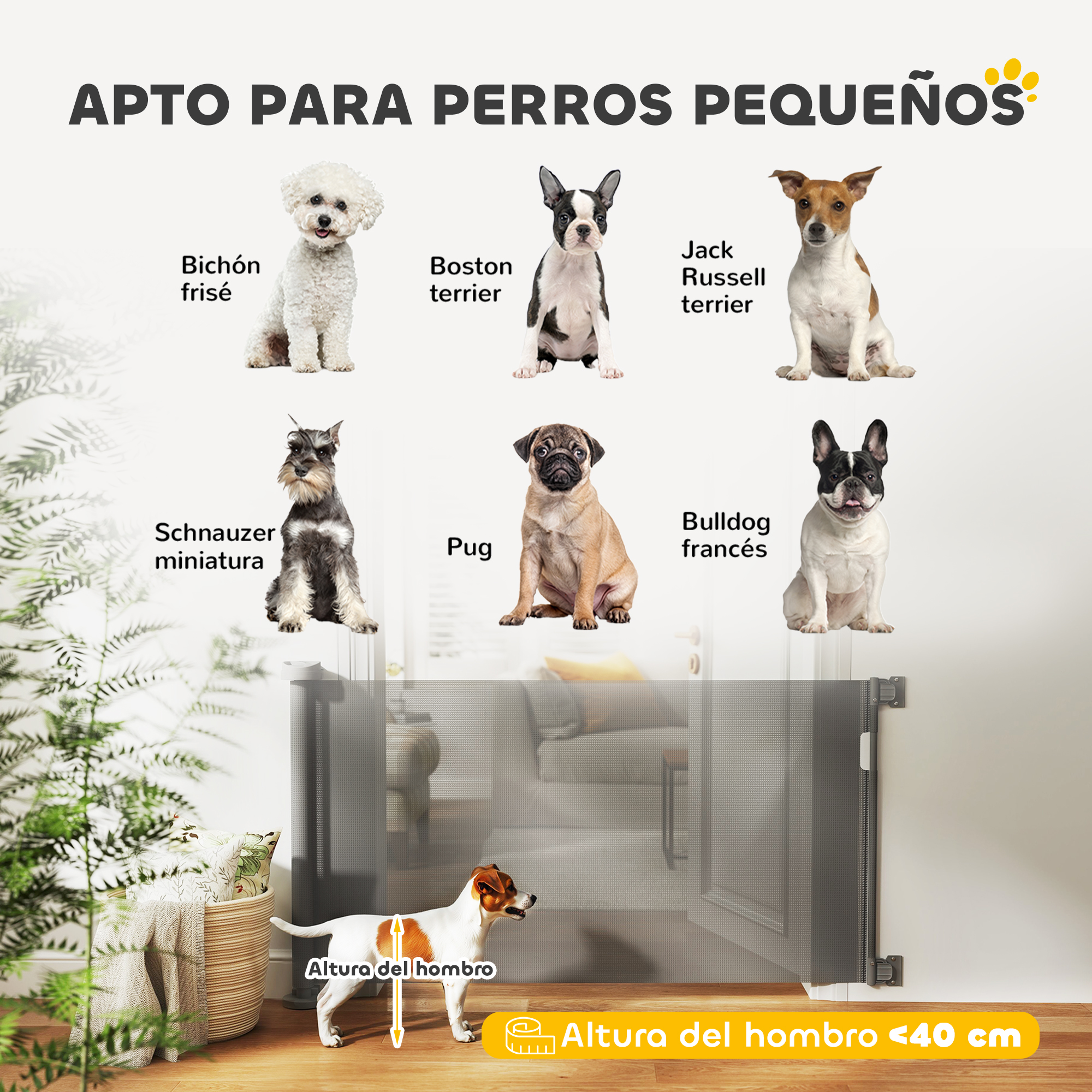 Imágenes de perros y una puerta, la altura de la puerta es adecuada para perros pequeños.